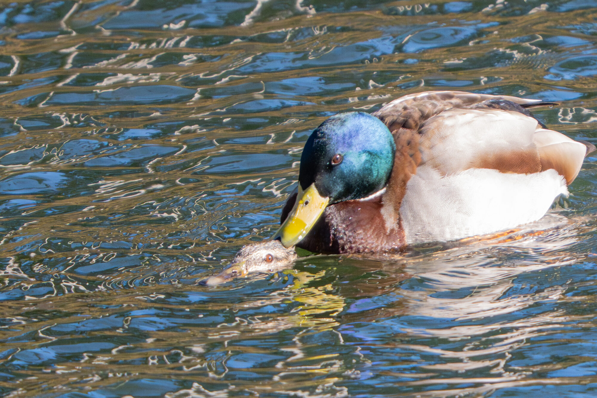 Valokuvaaja: Markku Saarinen