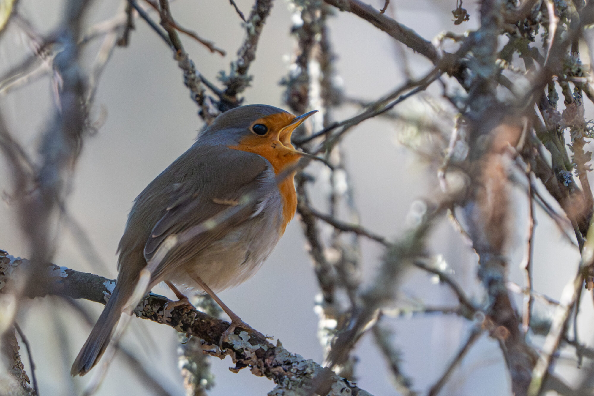 Valokuvaaja: Markku Saarinen