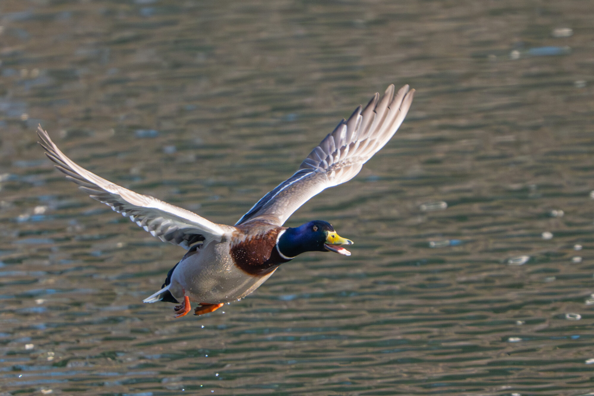 Valokuvaaja: Markku Saarinen
