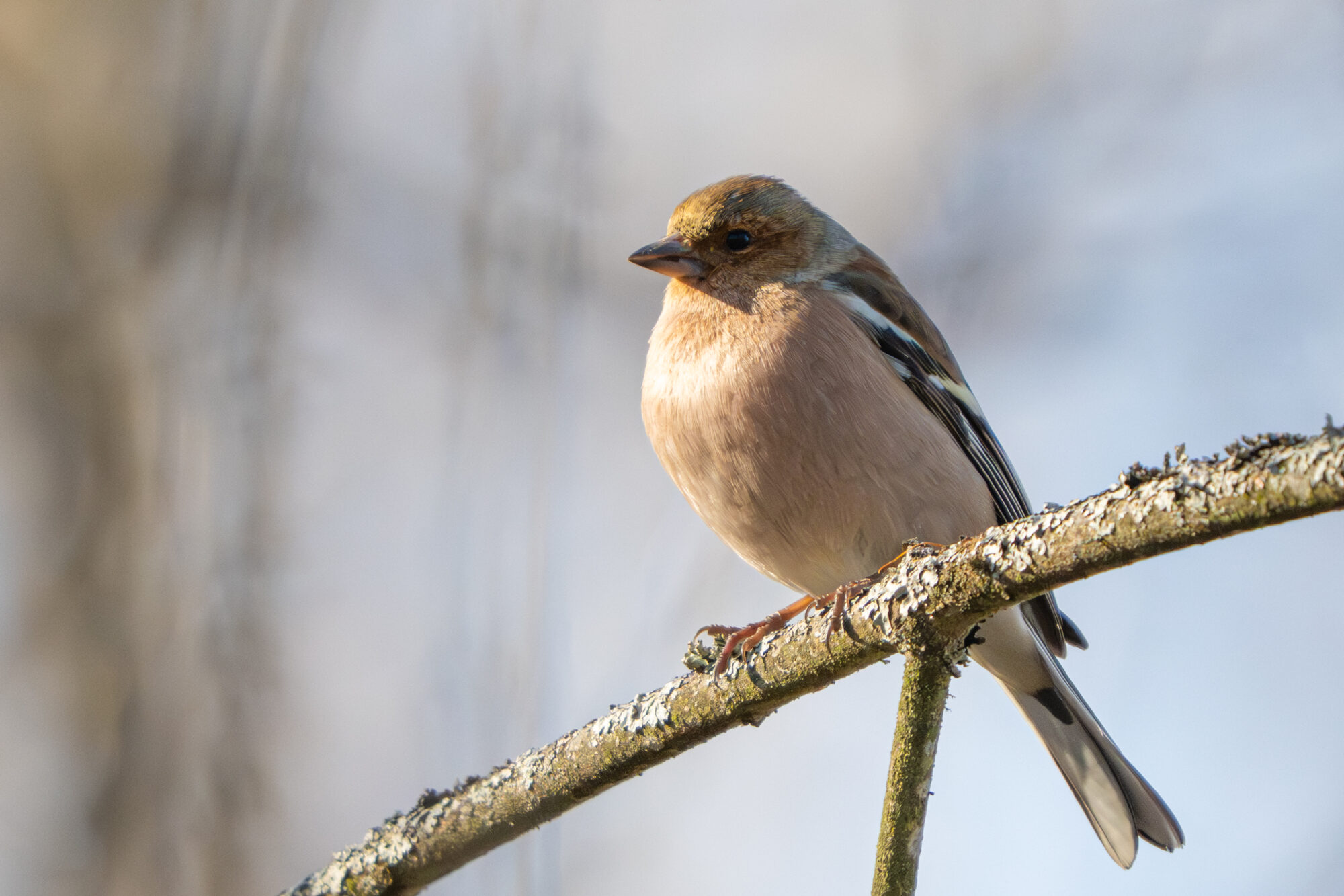 Valokuvaaja: Markku Saarinen