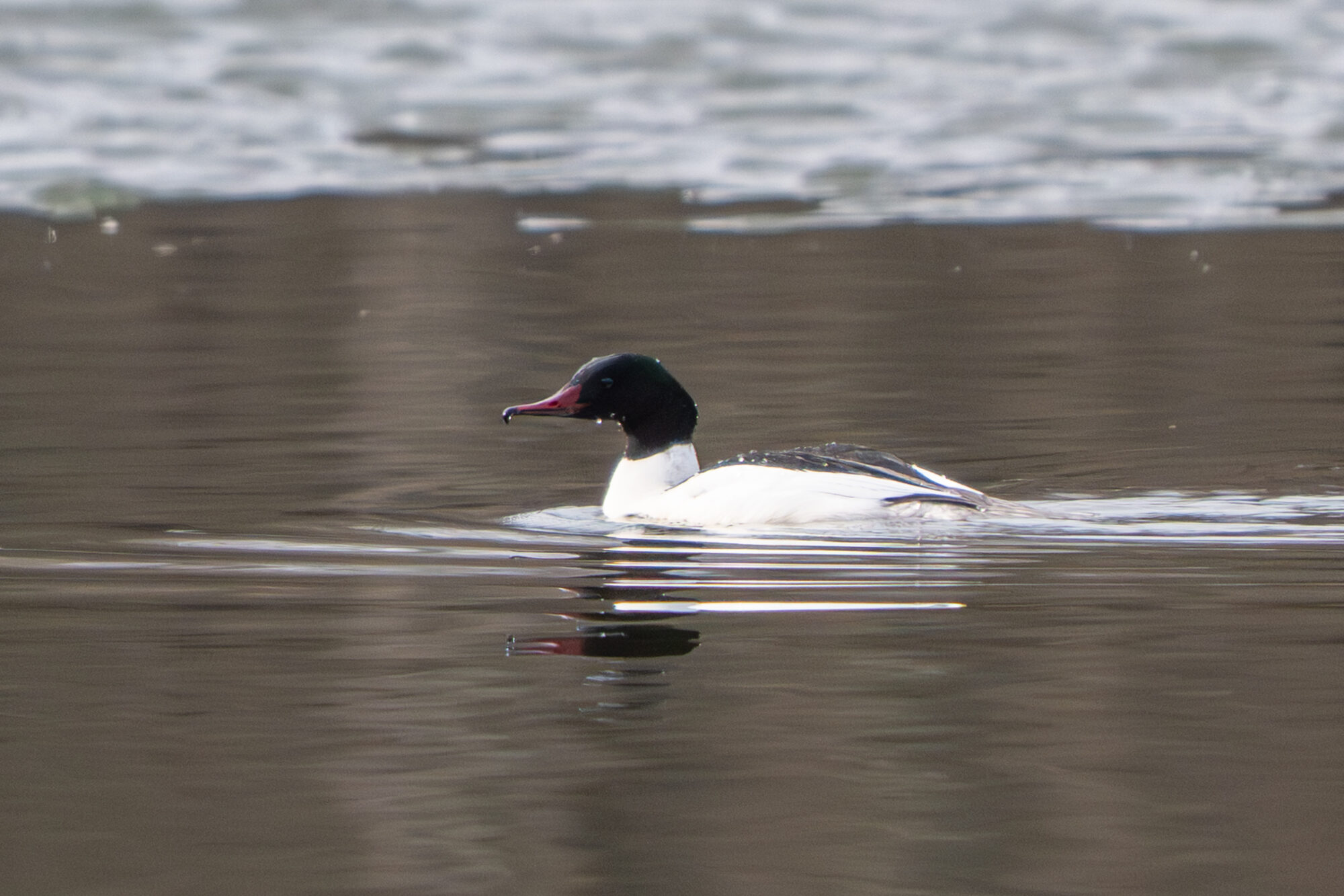 Valokuvaaja: Markku Saarinen
