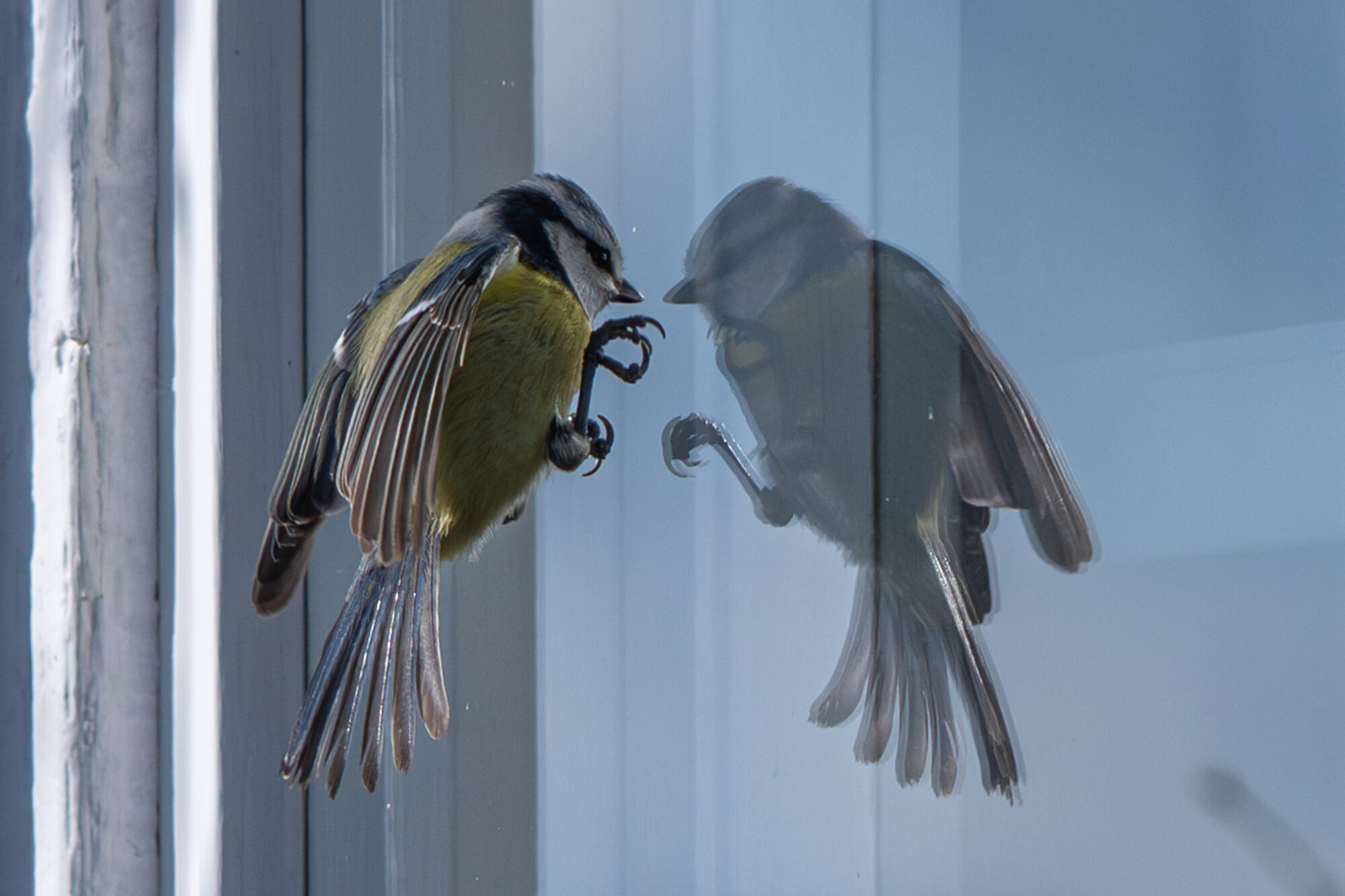 Valokuvaaja: Markku Saarinen