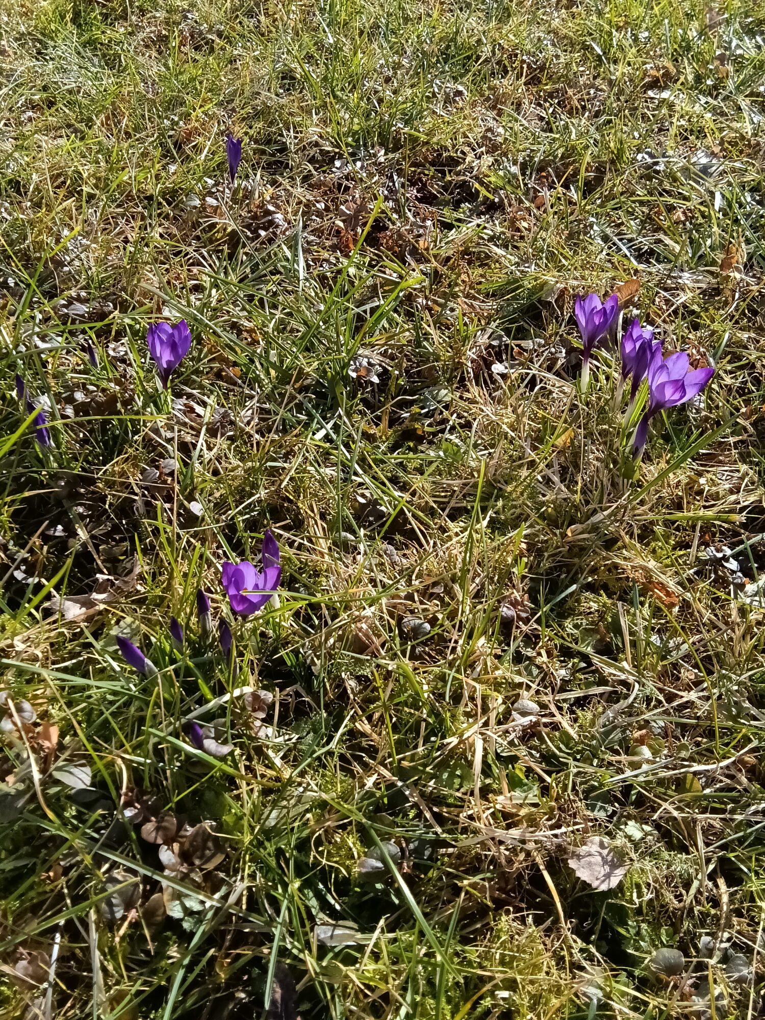 Valokuvaaja: Eija Johanna Saastamoinen