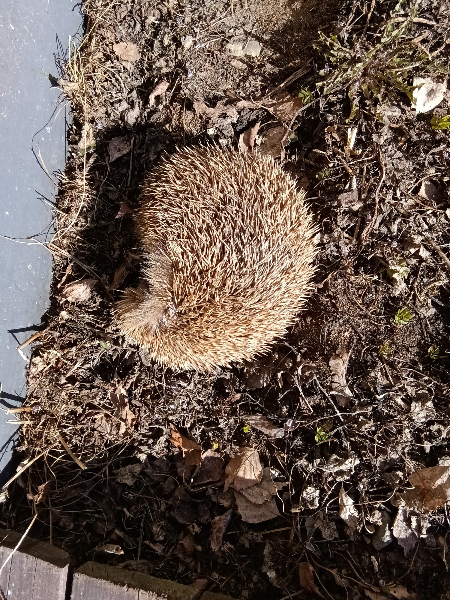 Valokuvaaja: Eija Johanna Saastamoinen