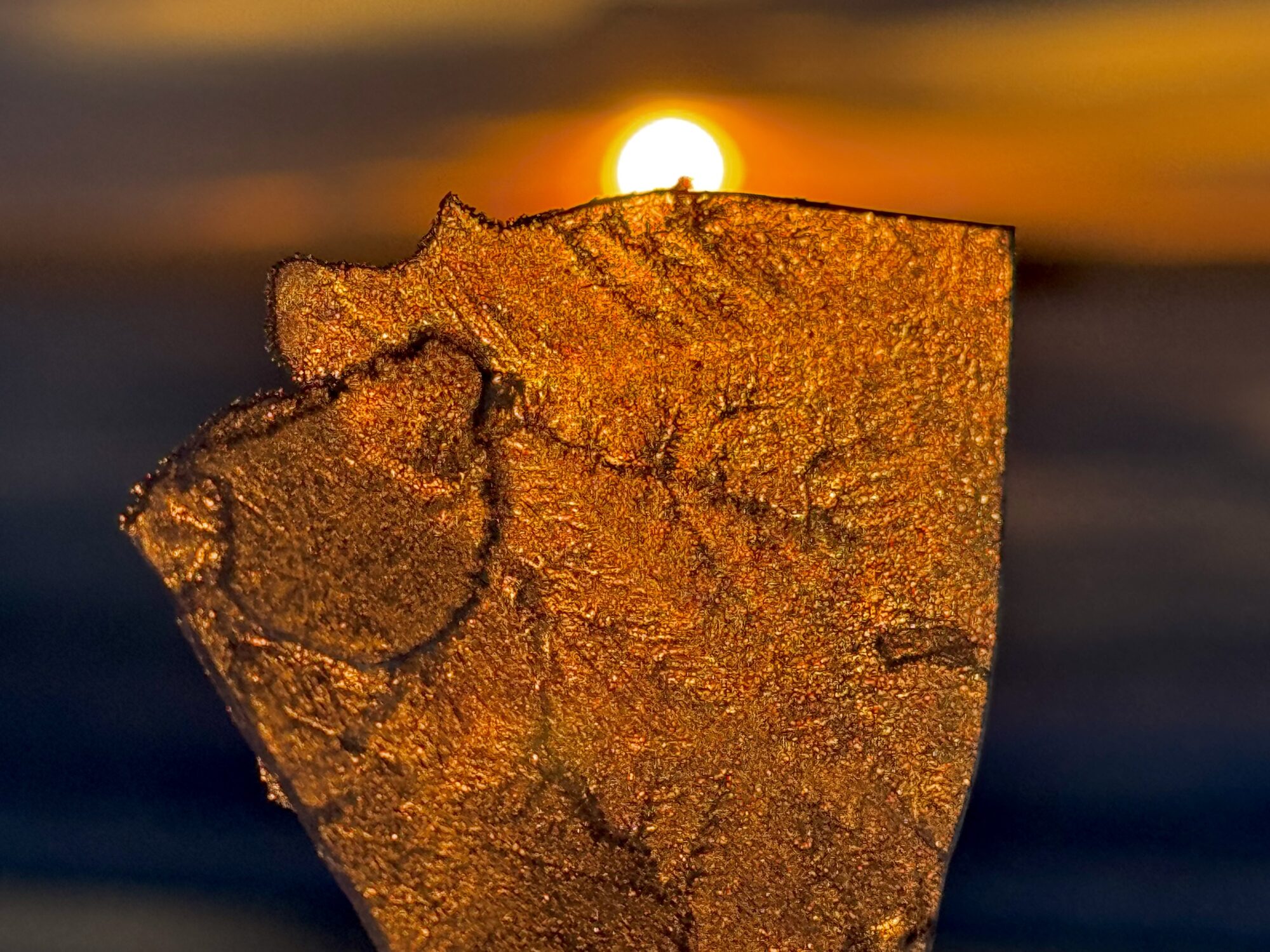 Valokuvaaja: Juhani Peltonen