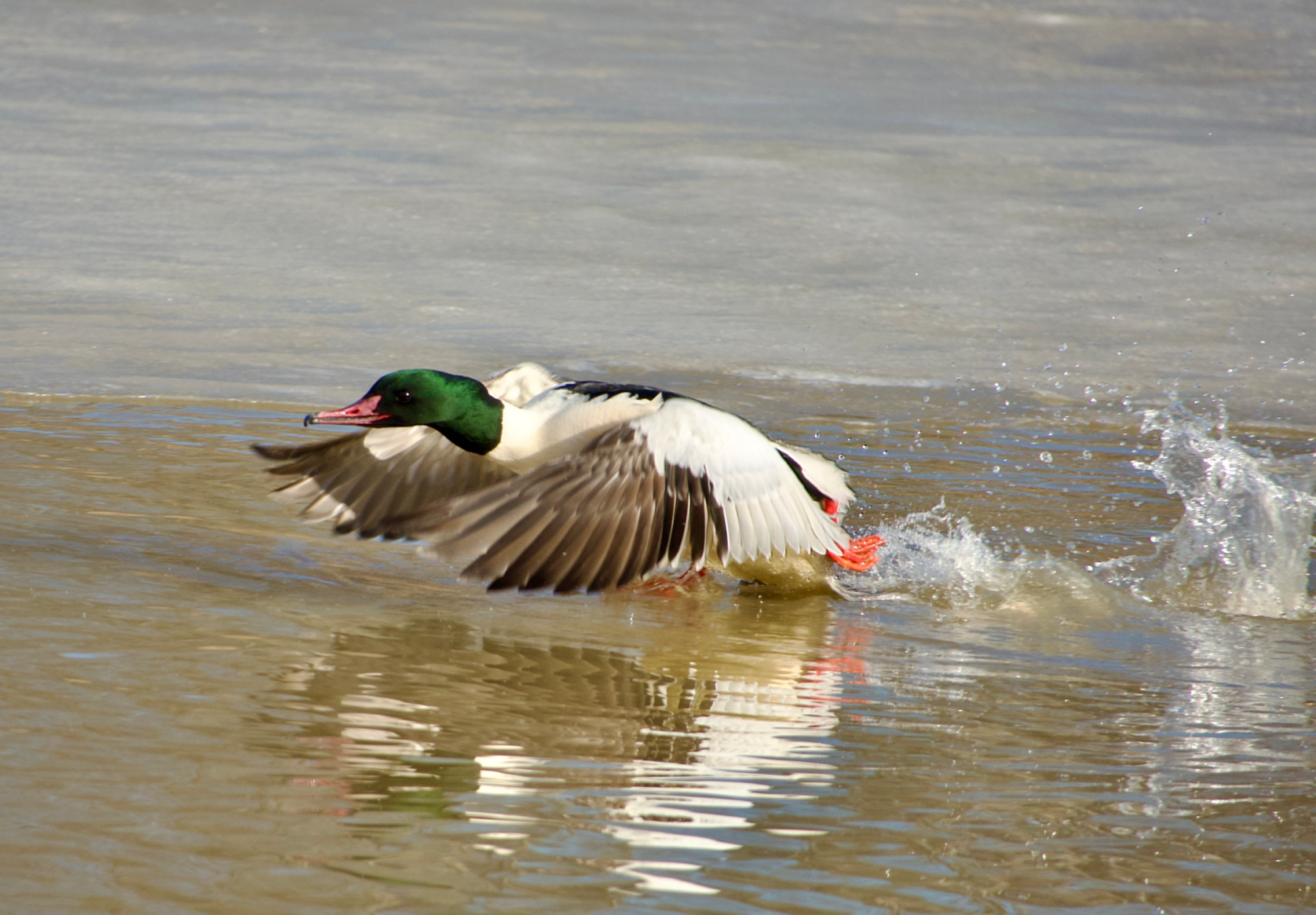 Valokuvaaja: Juha Naukkarinen