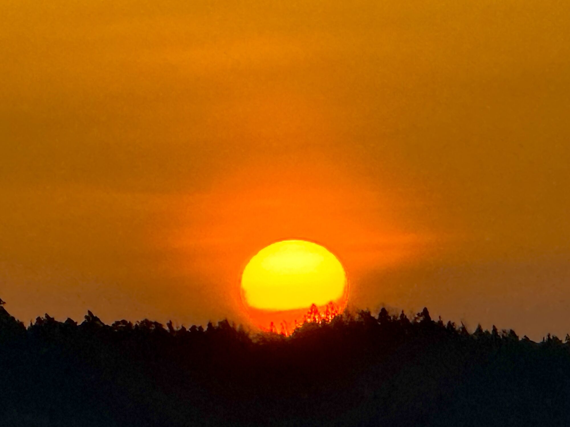 Valokuvaaja: Juhani Peltonen