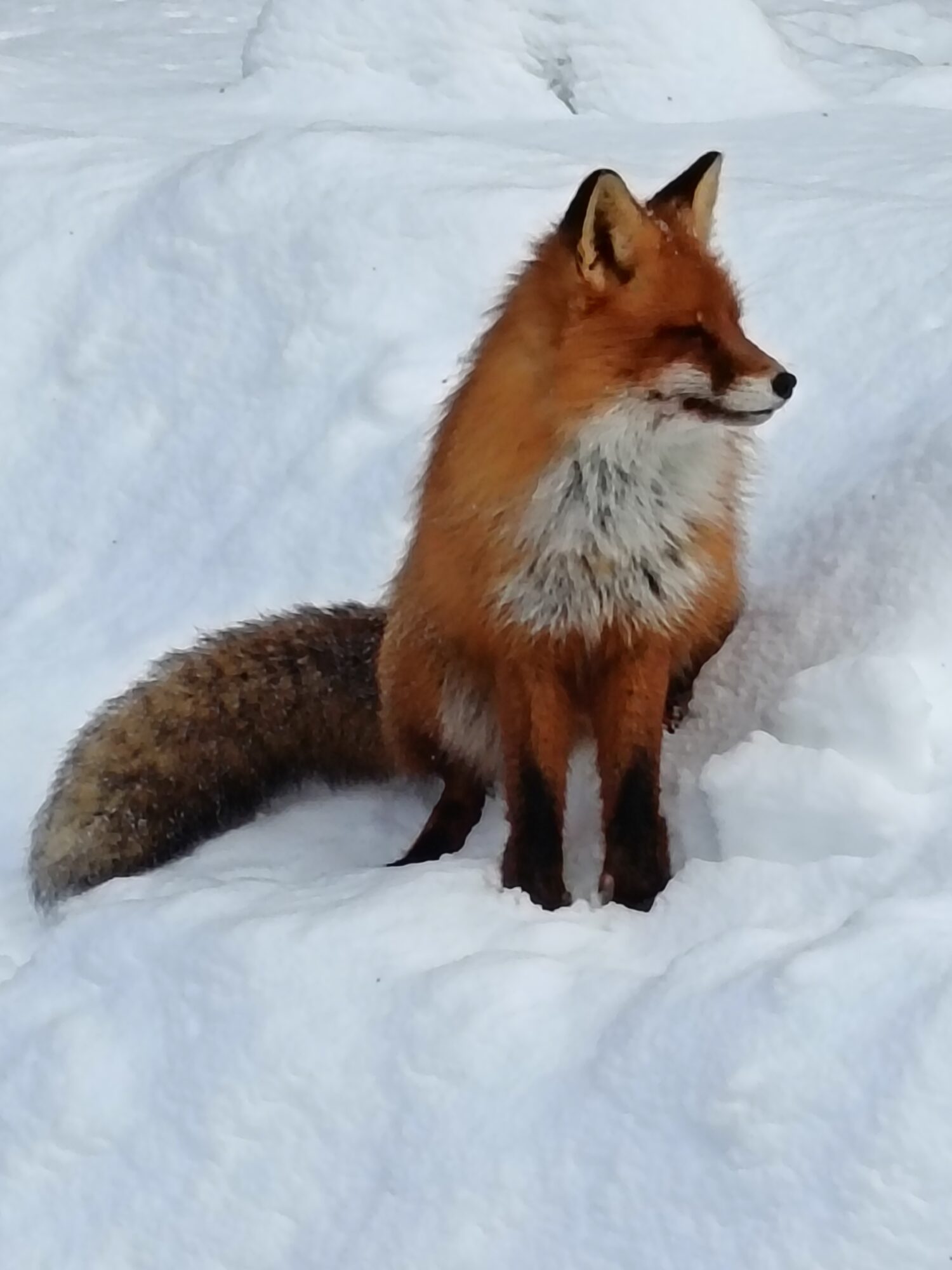Valokuvaaja: Hannu Suominen