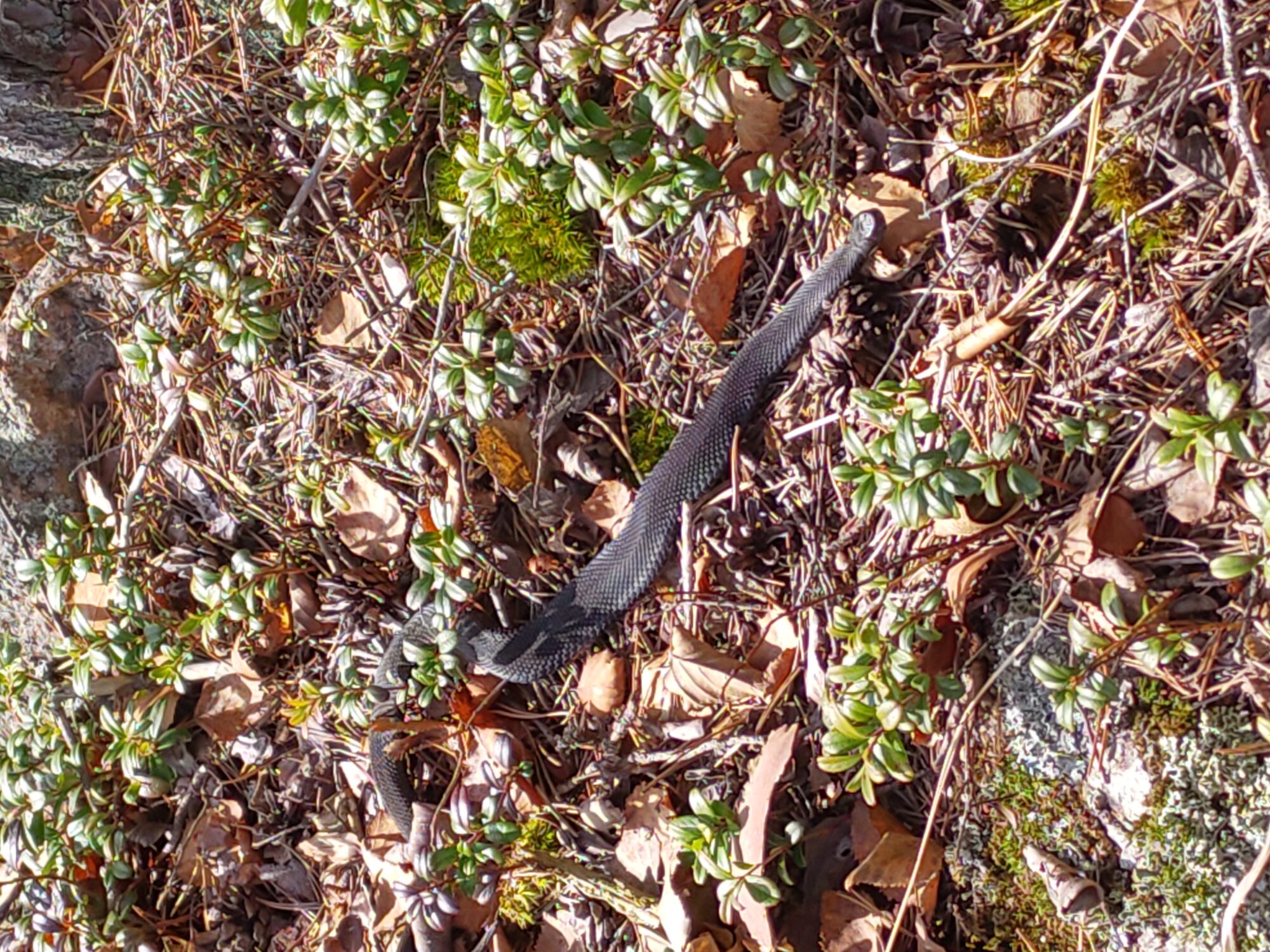 Valokuvaaja: Maija Lempiäinen