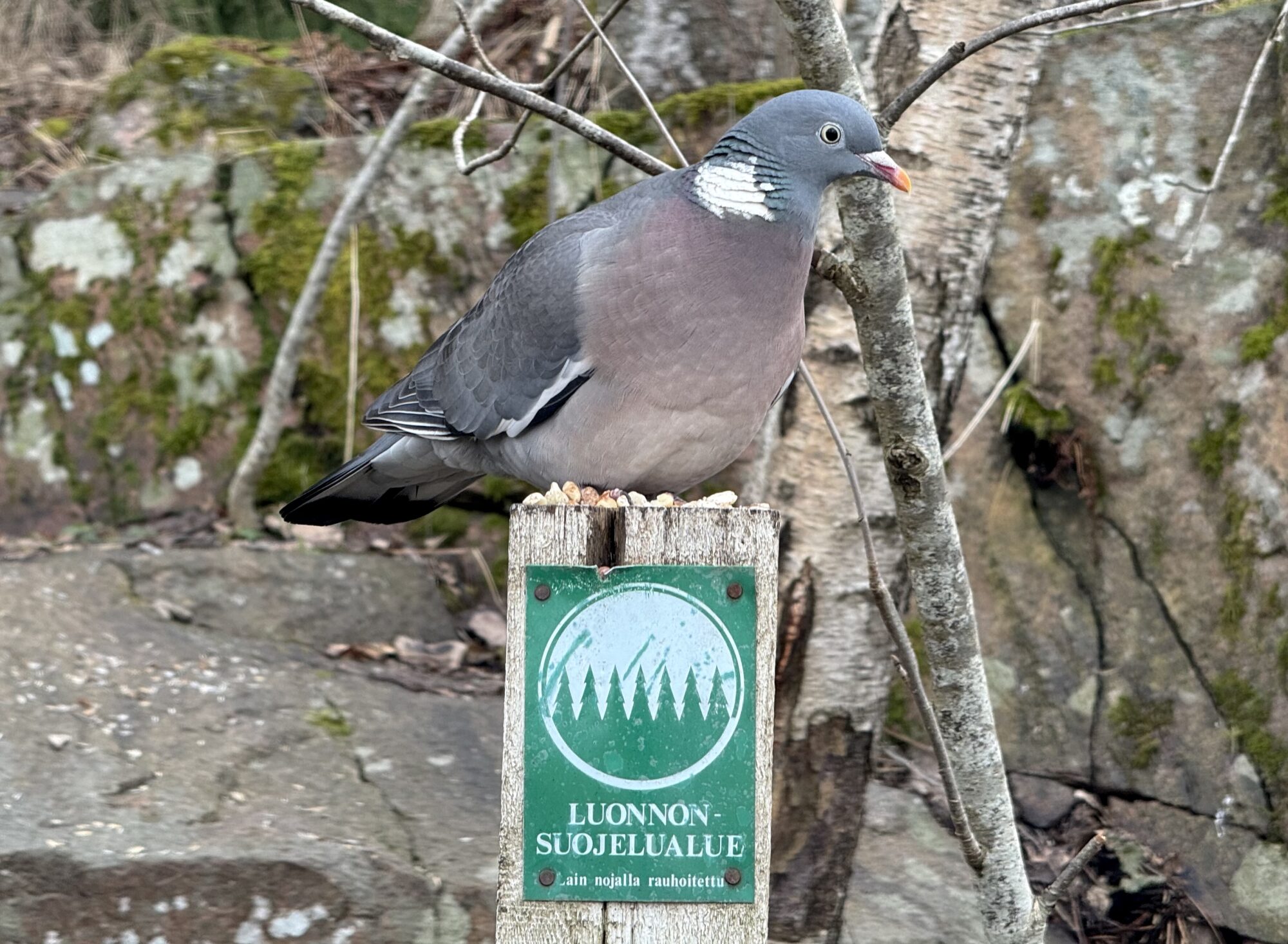 Valokuvaaja: Juhani Peltonen