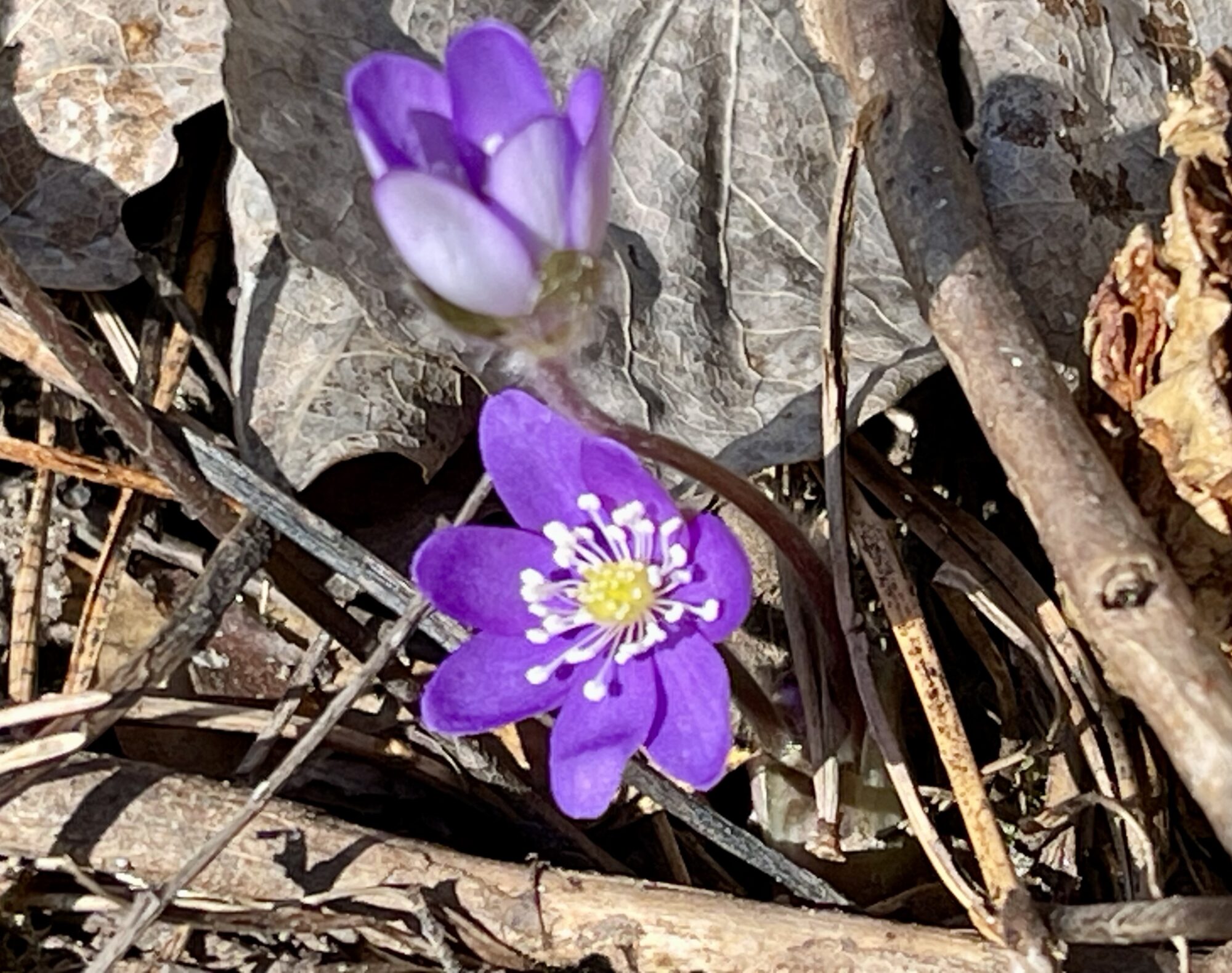 Valokuvaaja: Liisa Niiva-Korpela