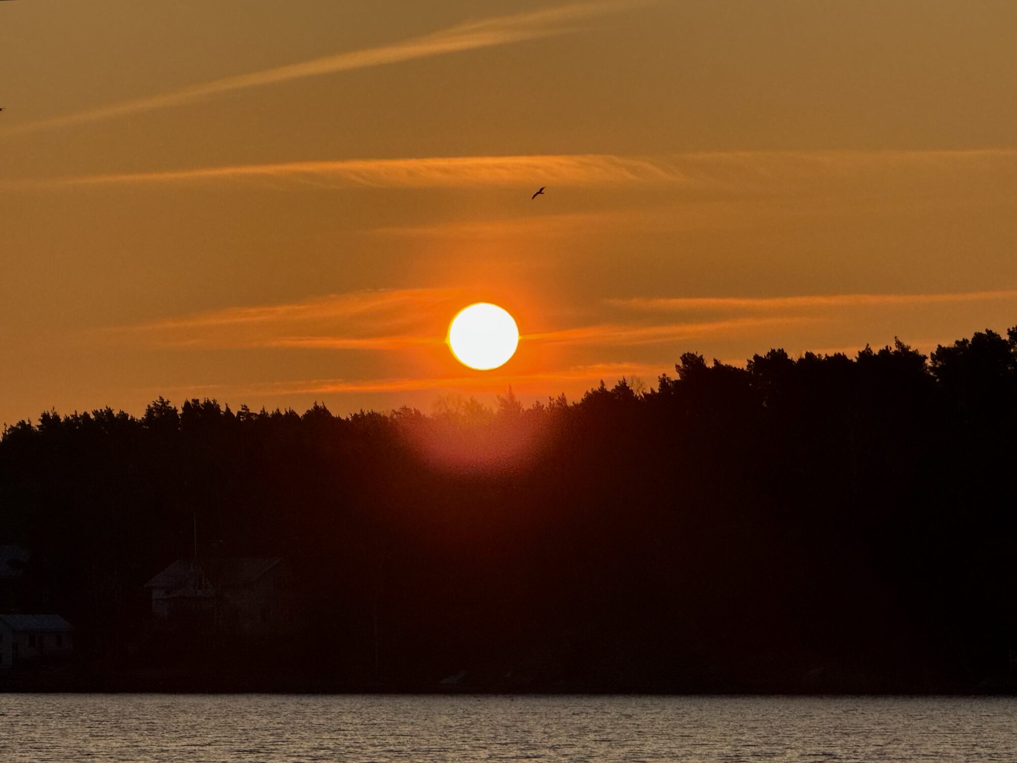 Valokuvaaja: Juhani Peltonen