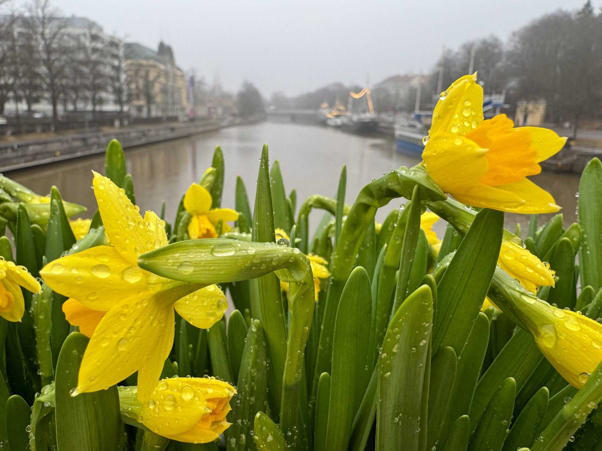 Valokuvaaja: Juhani Peltonen