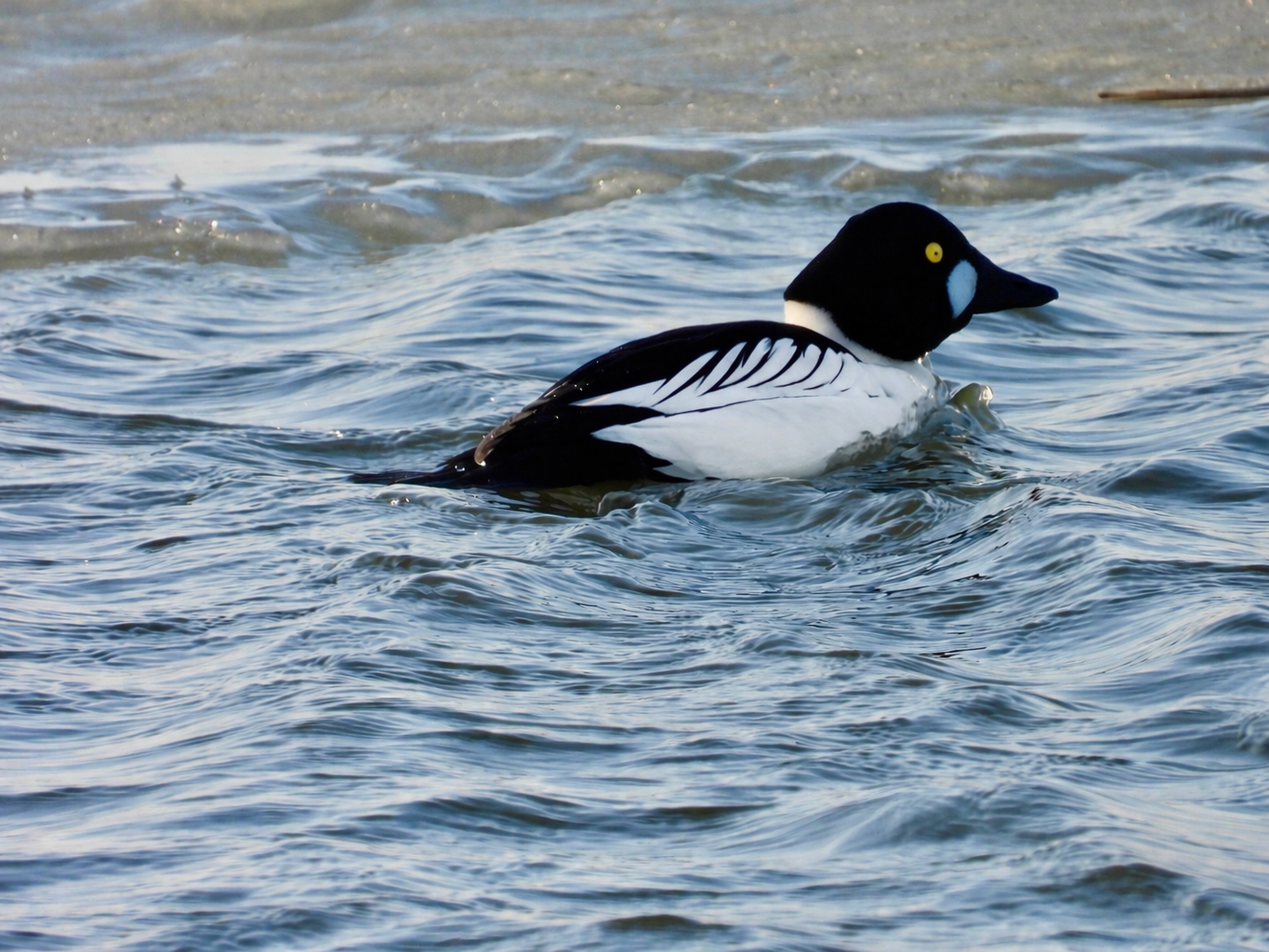 Valokuvaaja: Juhani Peltonen