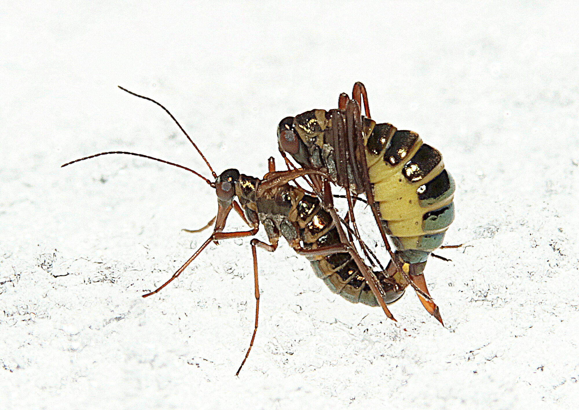 Valokuvaaja: Hannu Rasiranta