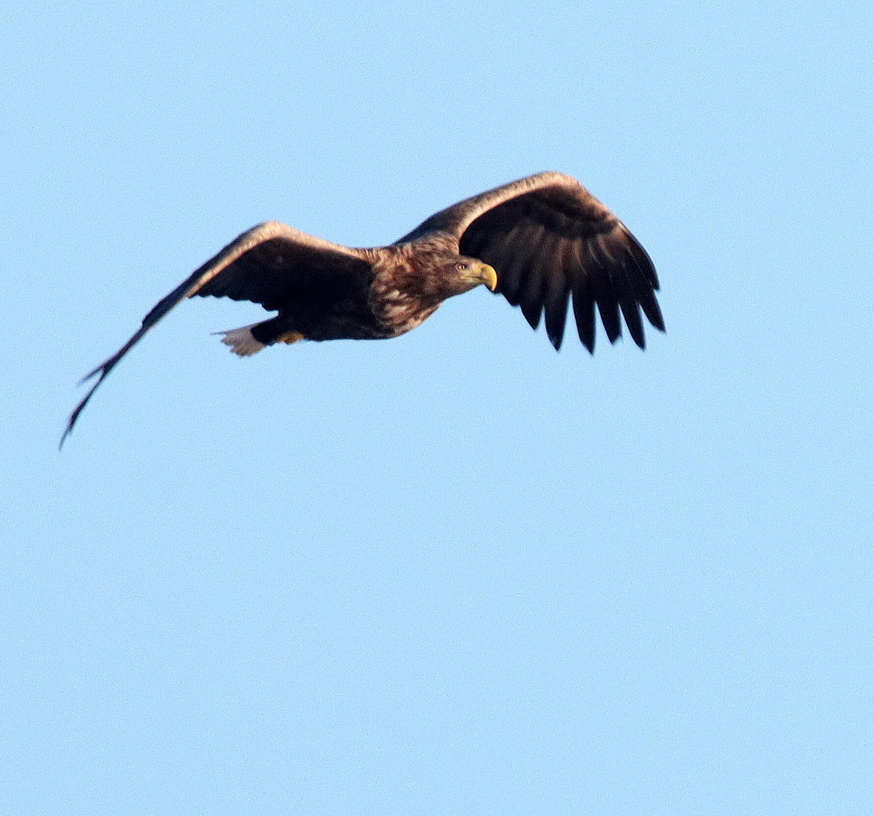 Valokuvaaja: Irja Lehtinen