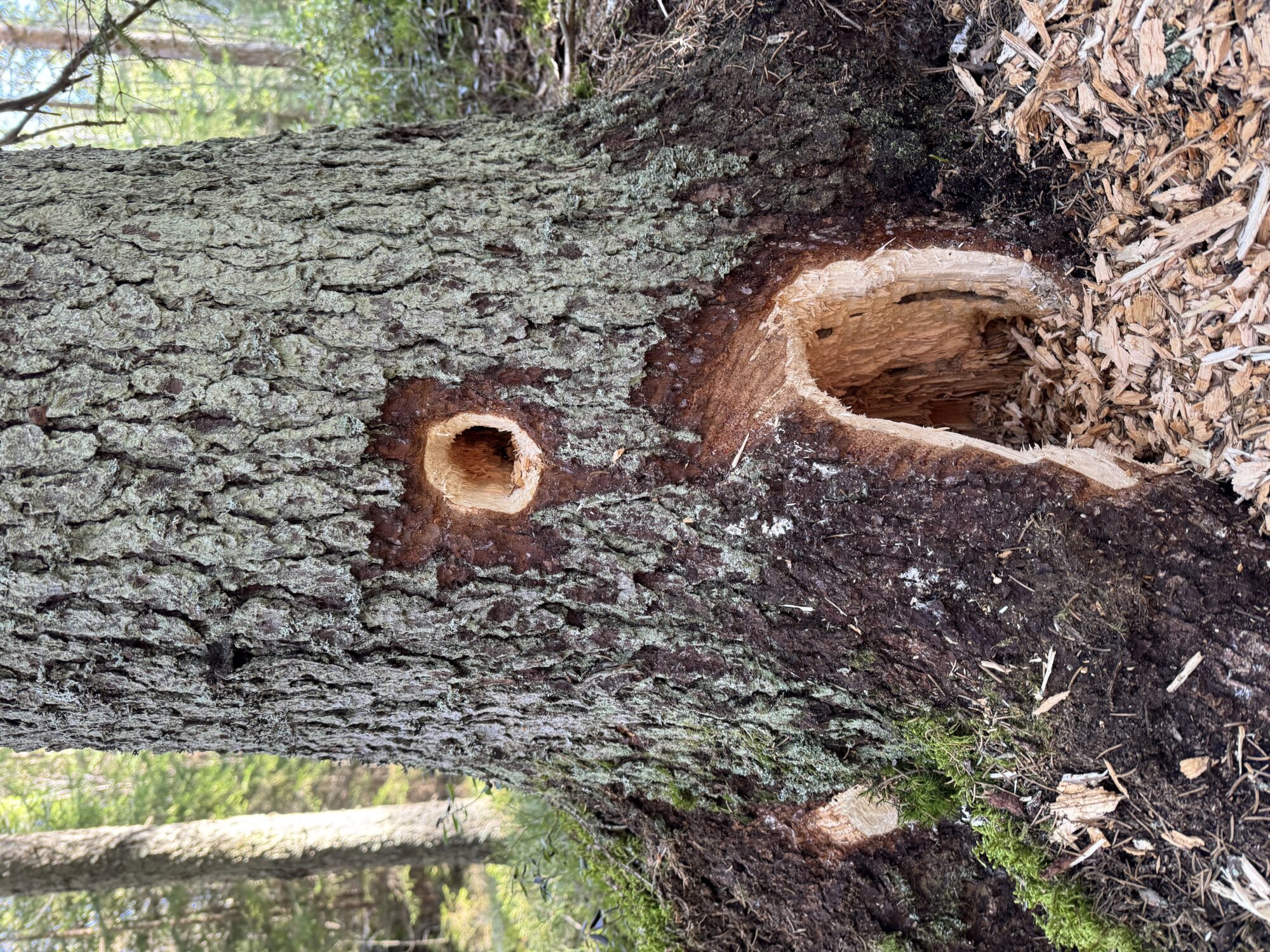 Valokuvaaja: Lauri S.