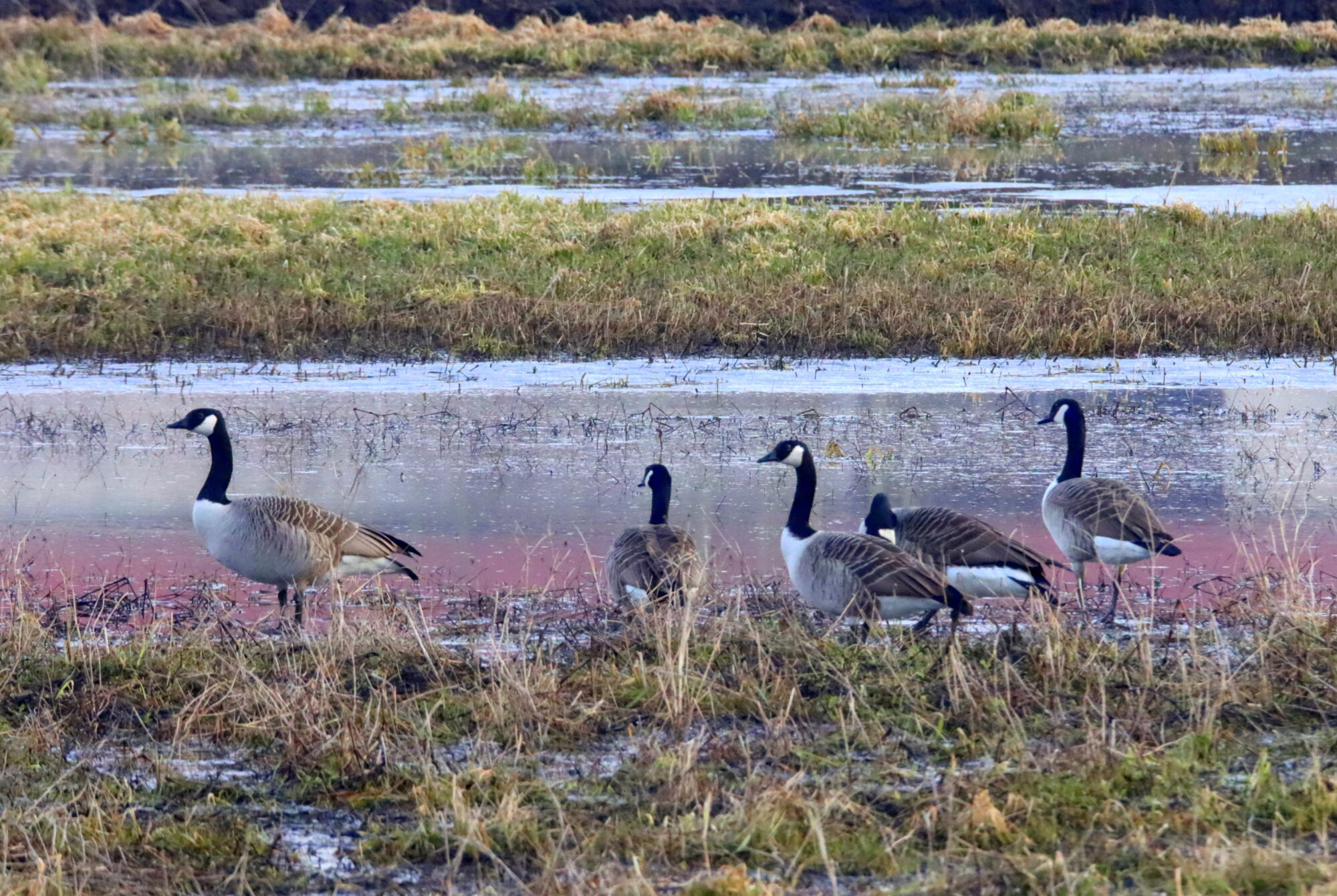 Valokuvaaja: Irja Lehtinen
