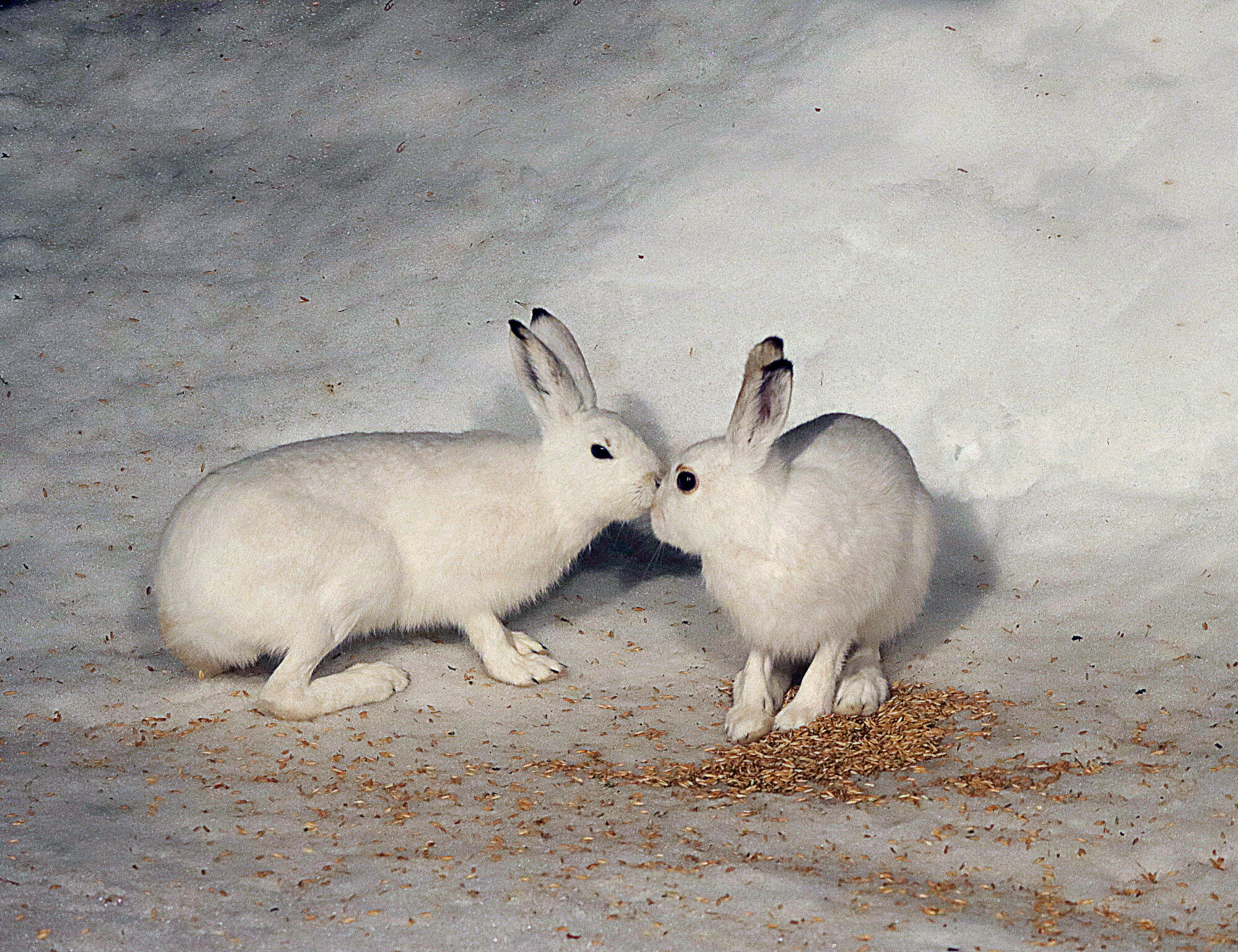 Valokuvaaja: Hannu Rasiranta