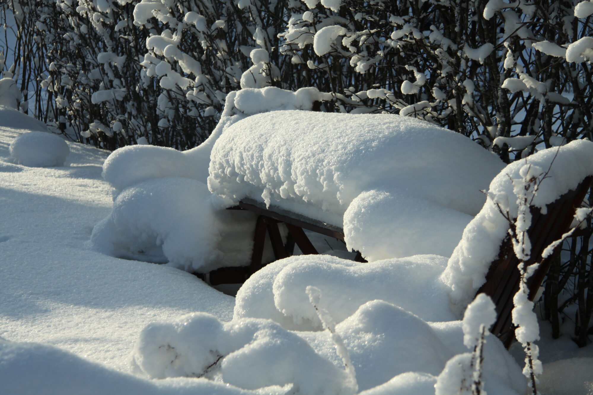 Valokuvaaja: Pirkko Siukonen