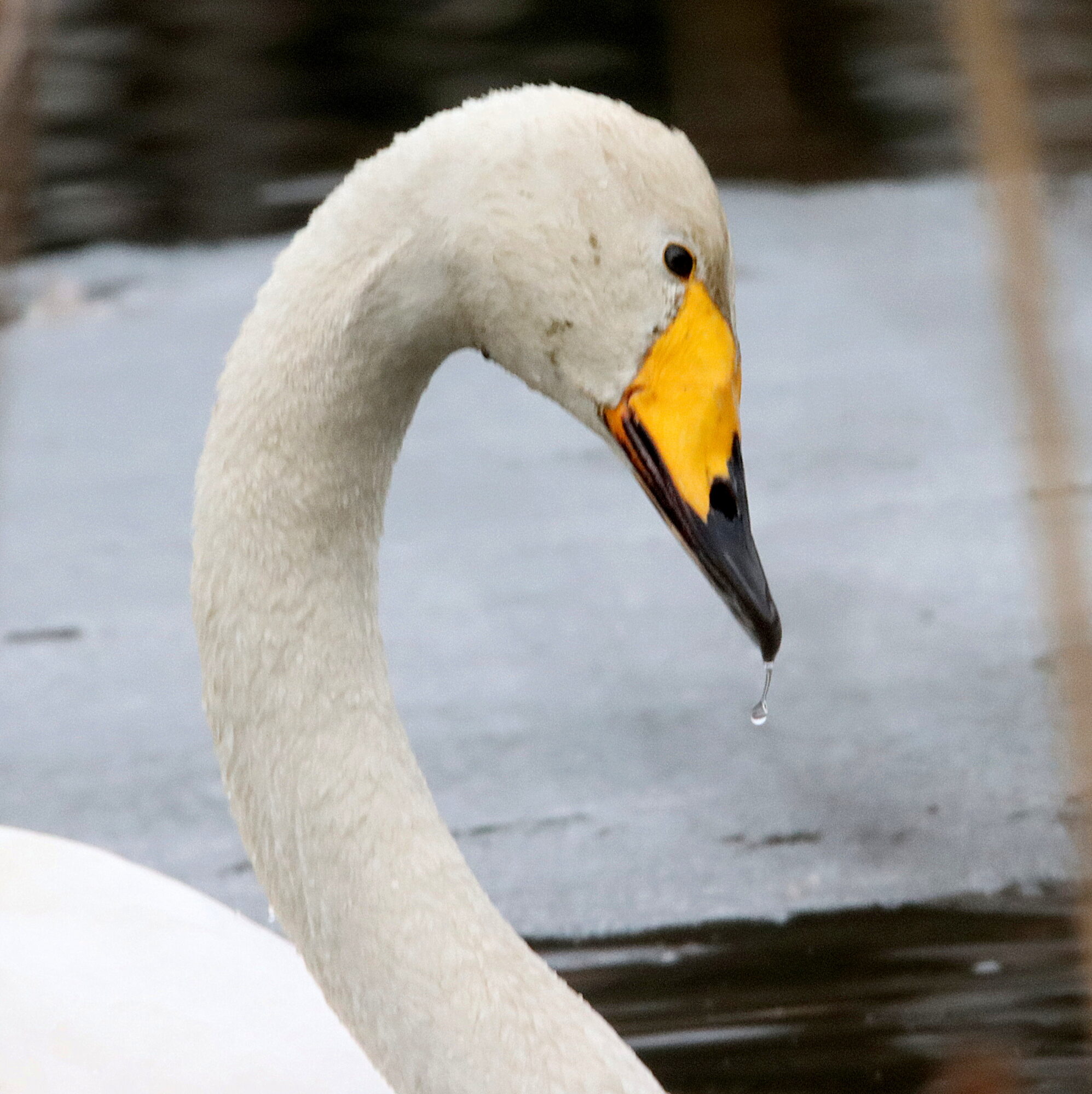 Valokuvaaja: Irja Lehtinen