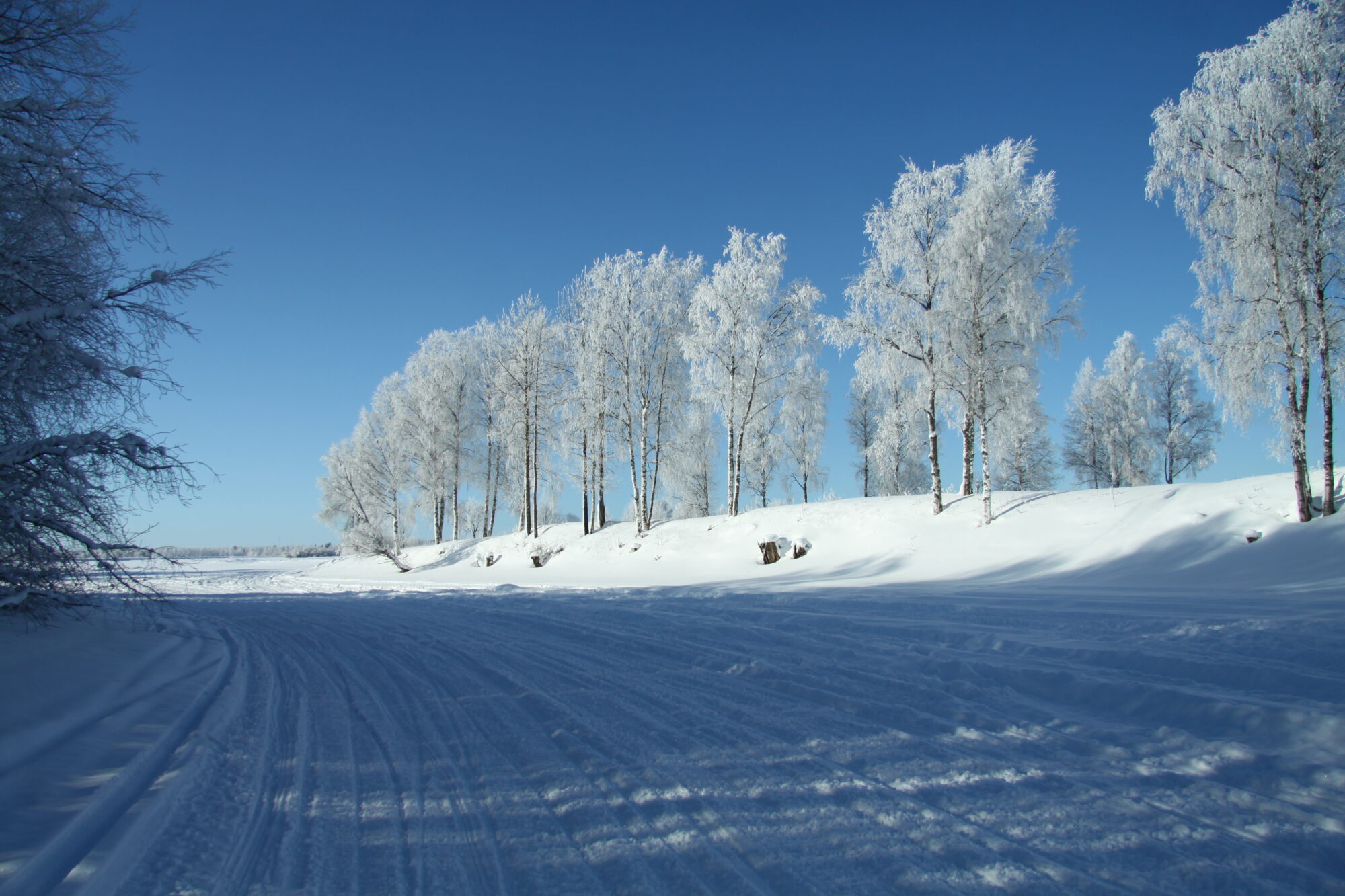 Valokuvaaja: Pirkko Siukonen