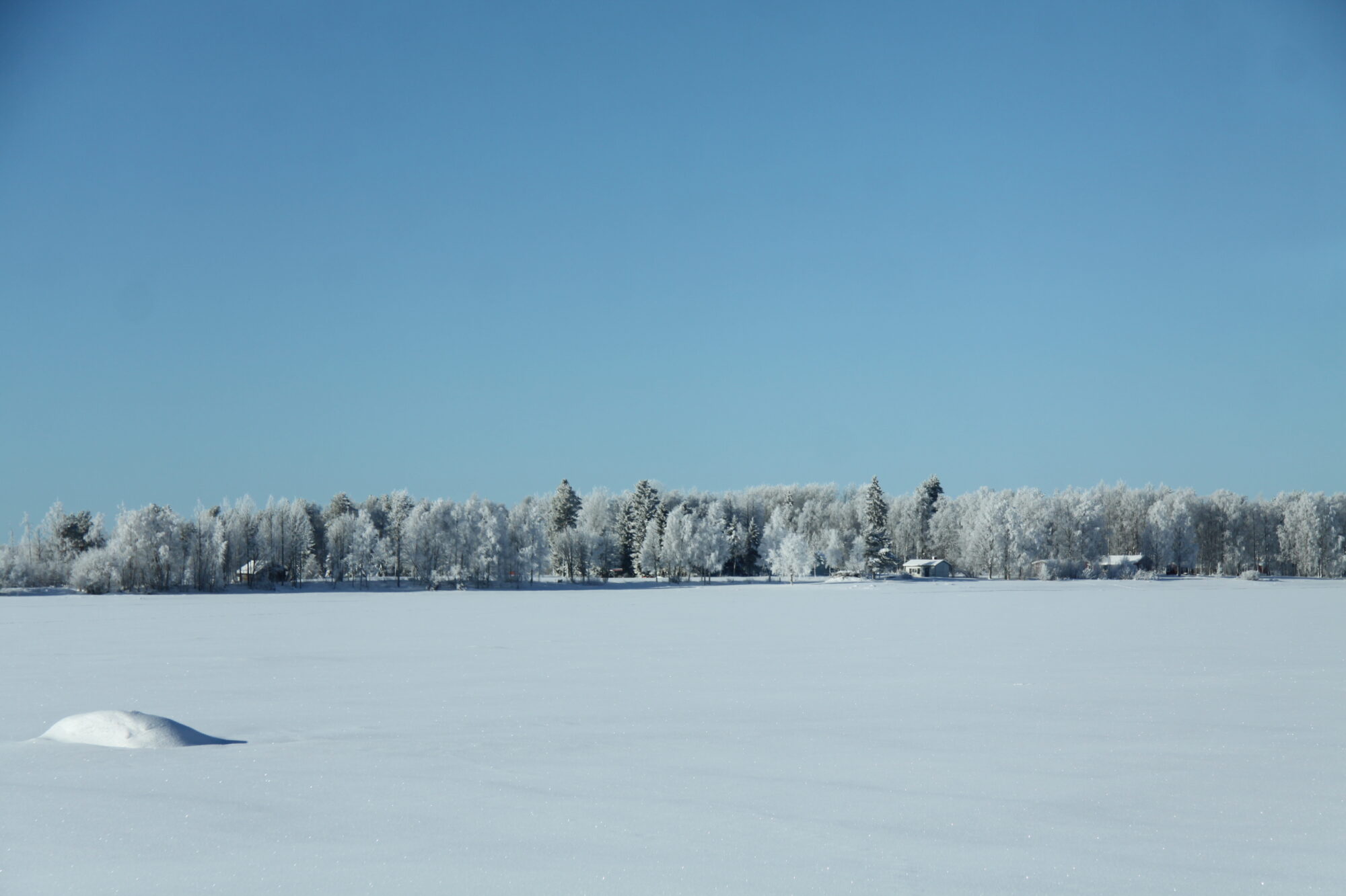 Valokuvaaja: Pirkko Siukonen