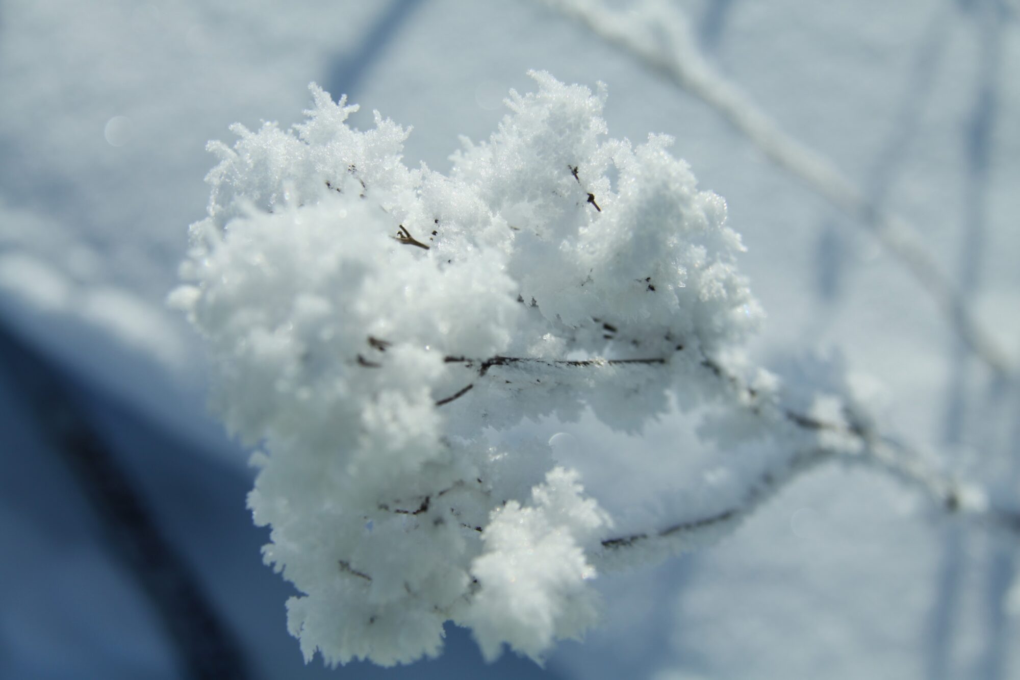 Valokuvaaja: Pirkko Siukonen