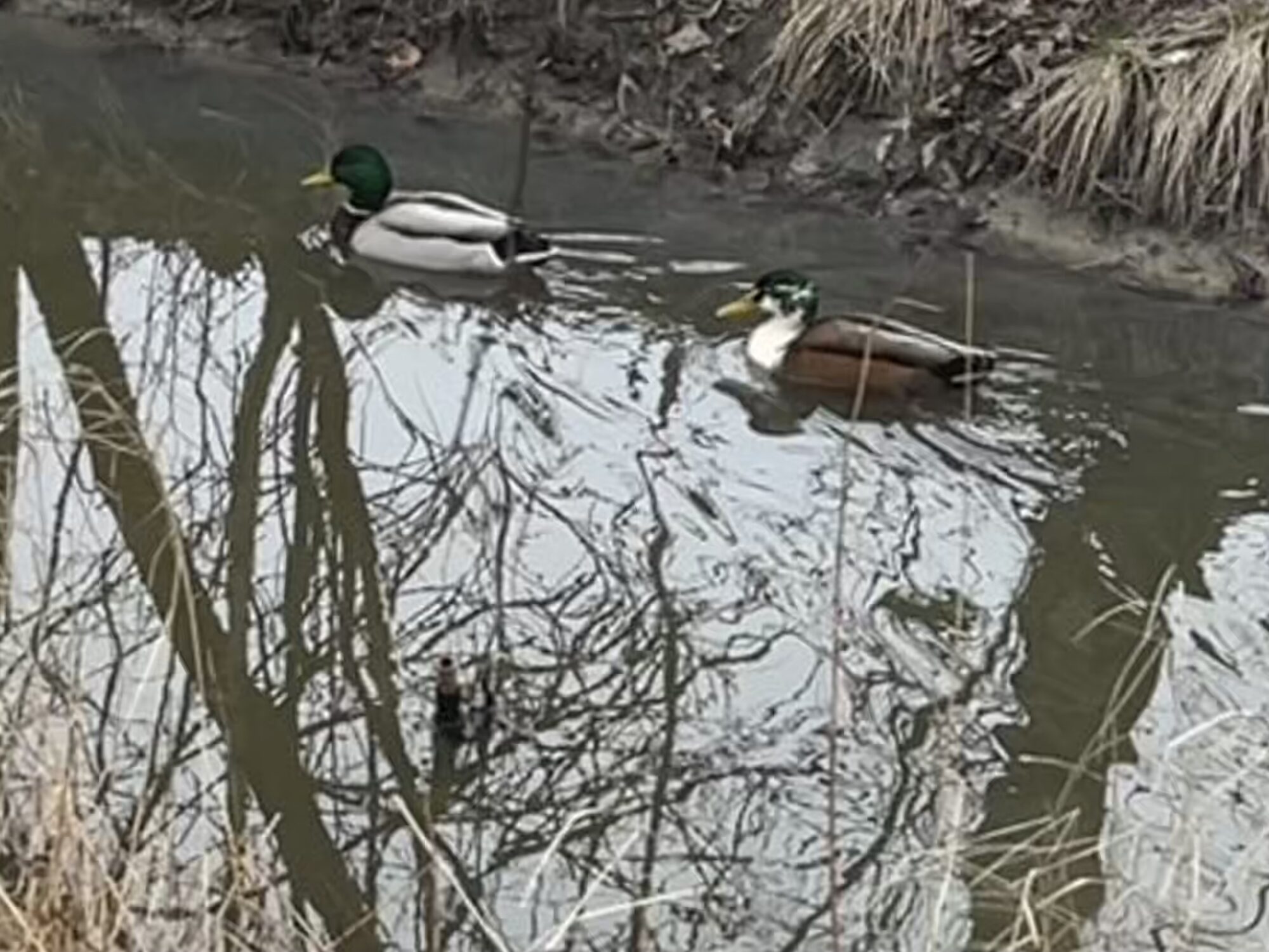 Valokuvaaja: Jorma Mattila