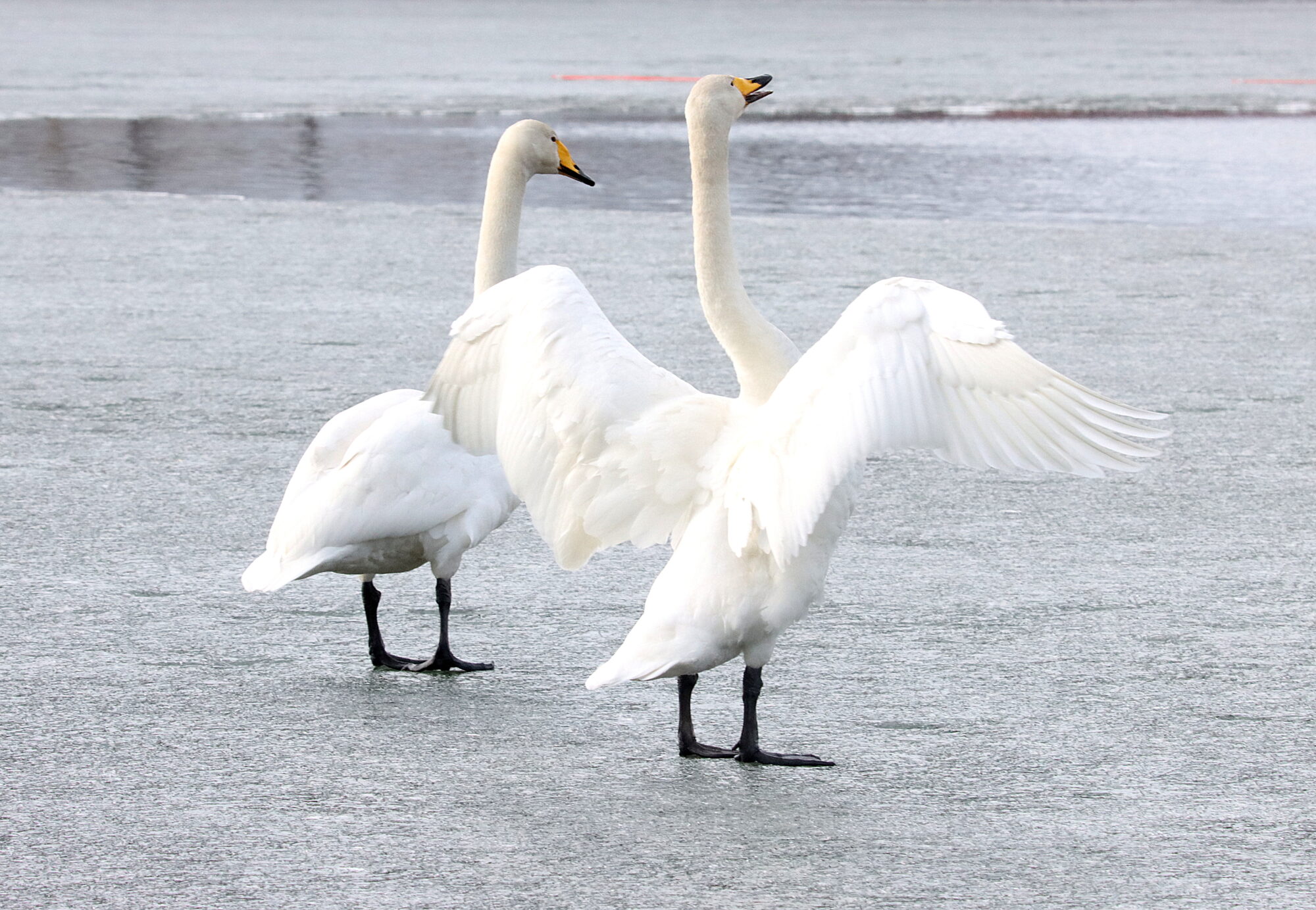 Valokuvaaja: Irja Lehtinen