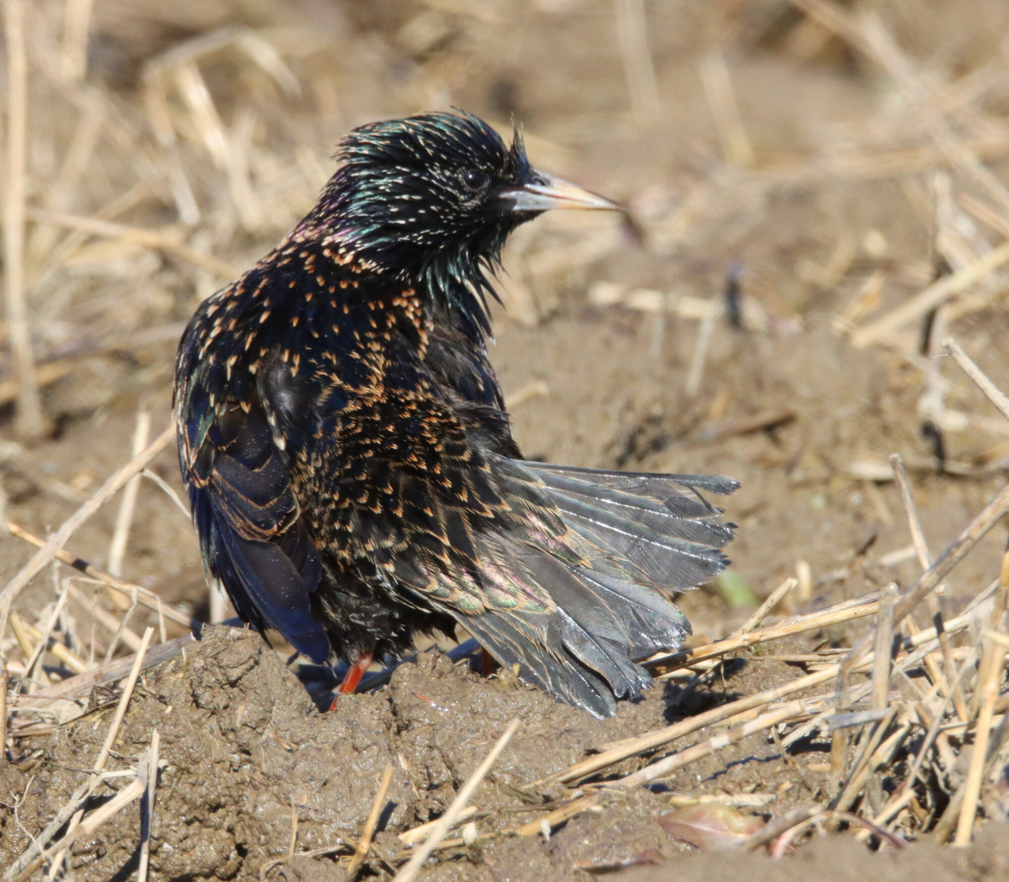 Valokuvaaja: Irja Lehtinen