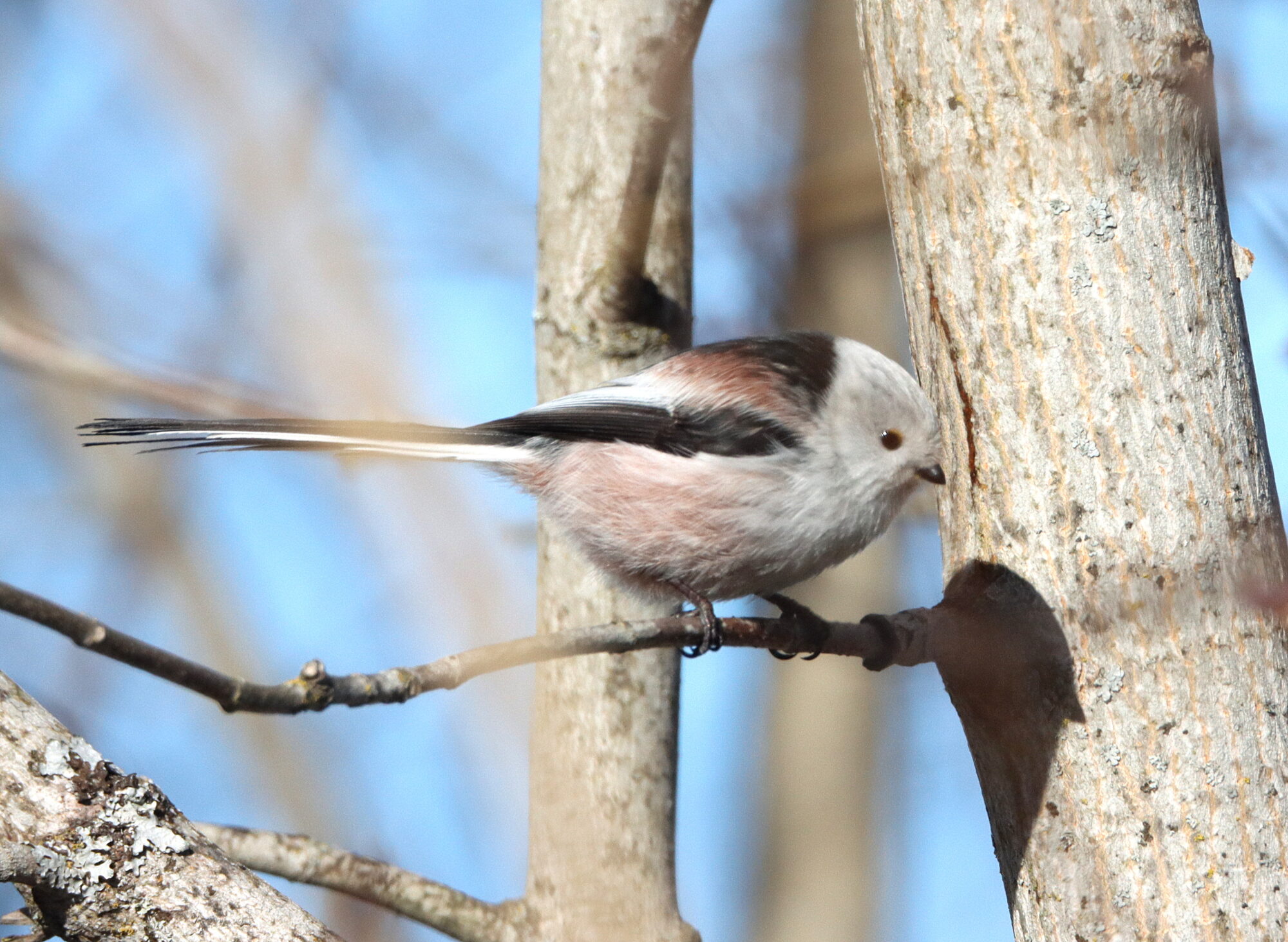 Valokuvaaja: Irja Lehtinen