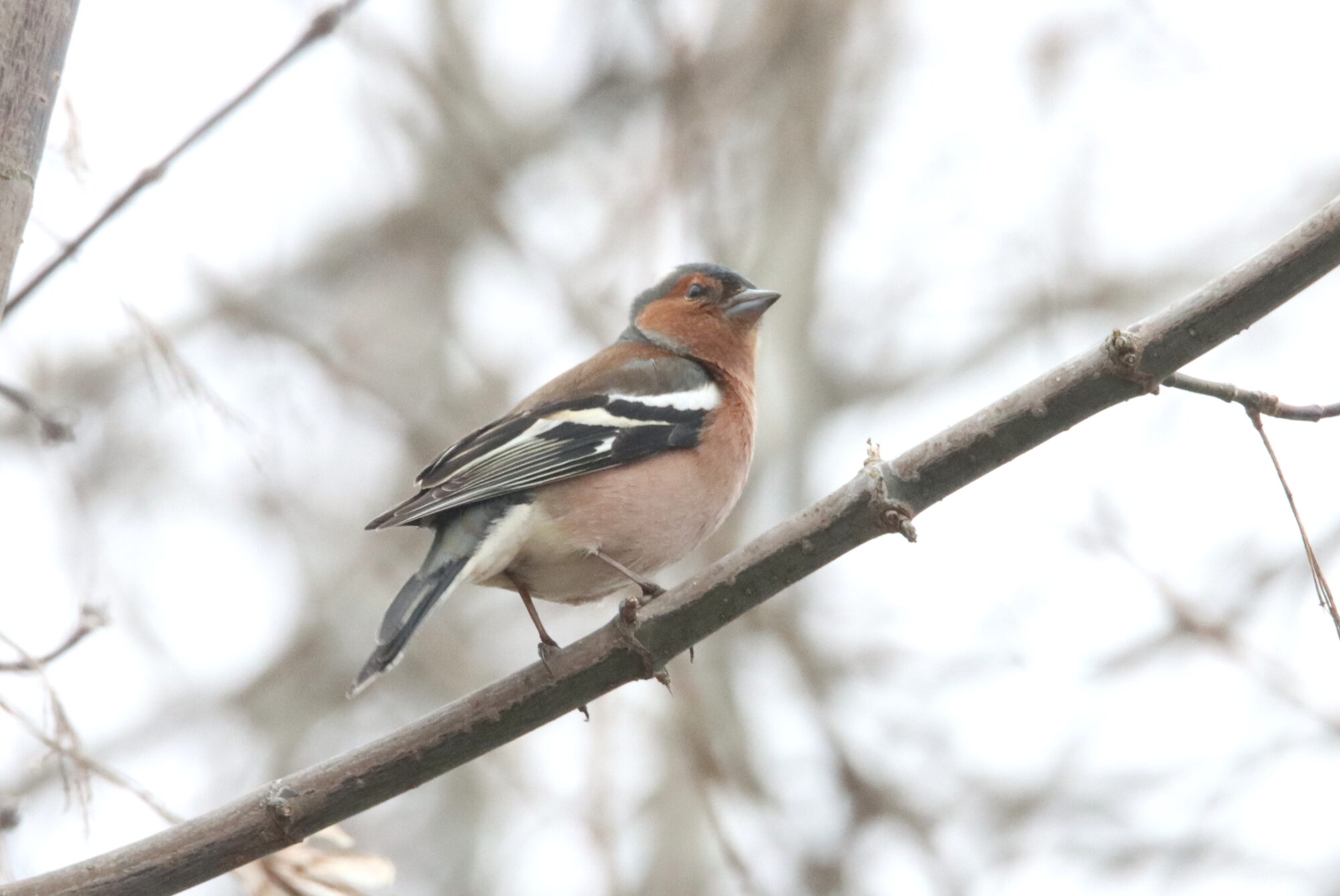 Valokuvaaja: Irja Lehtinen