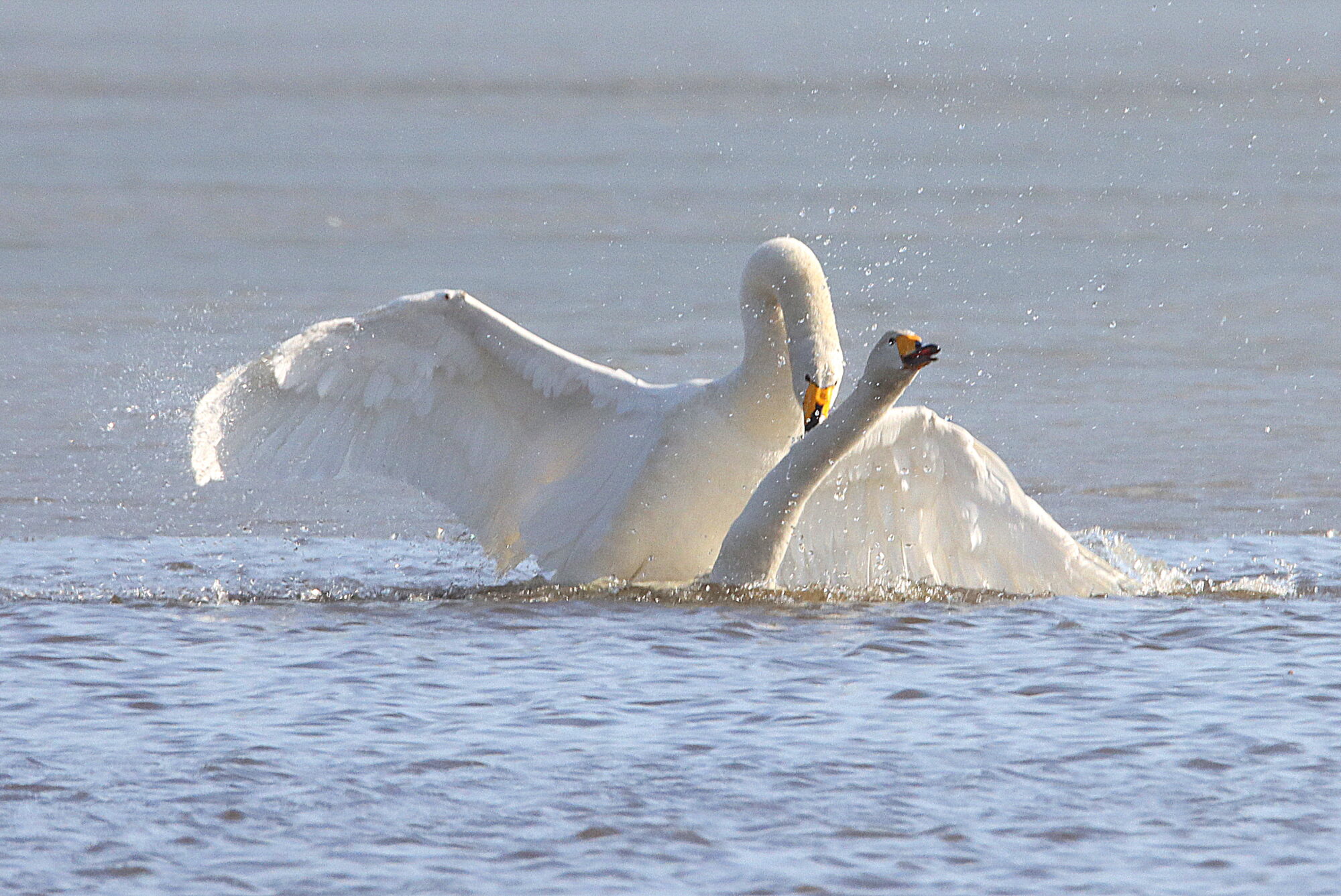 Valokuvaaja: Irja Lehtinen