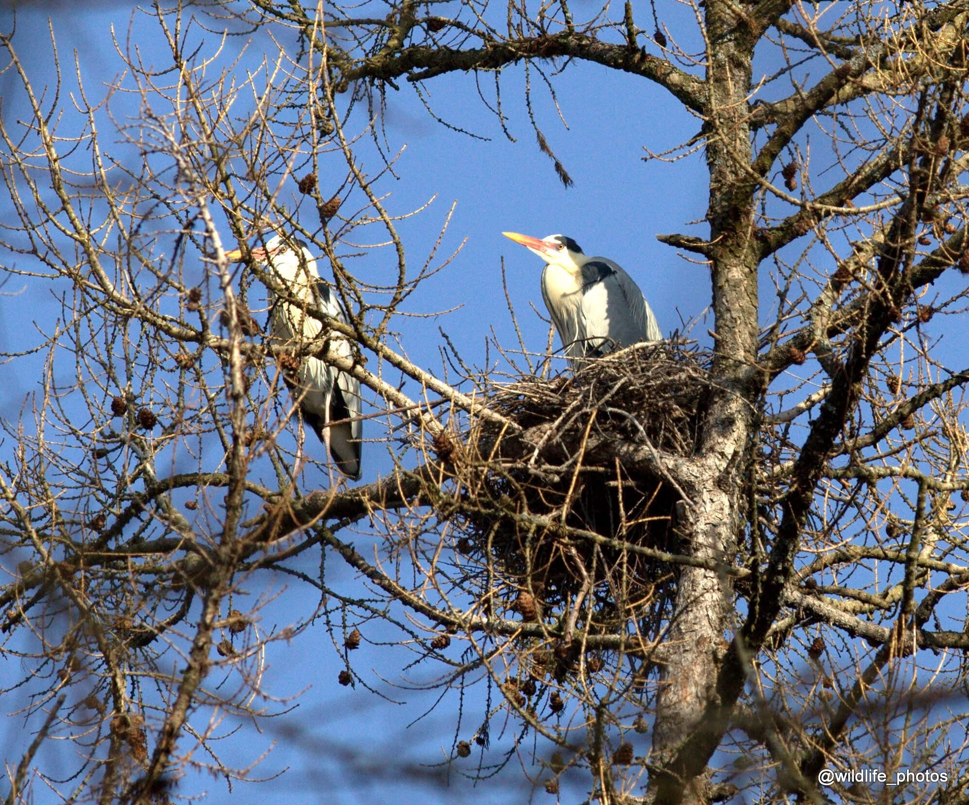 Valokuvaaja: Tapio Keinonen