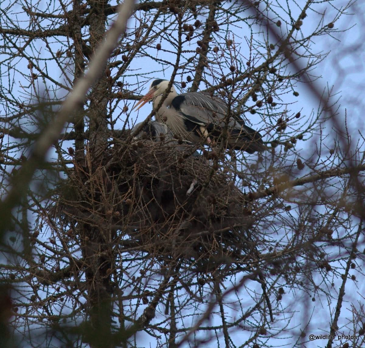 Valokuvaaja: tapio keinonen