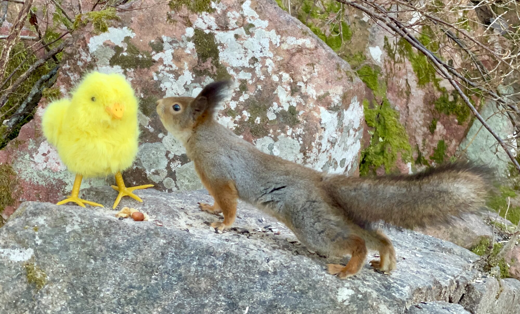 Valokuvaaja: Juhani Peltonen