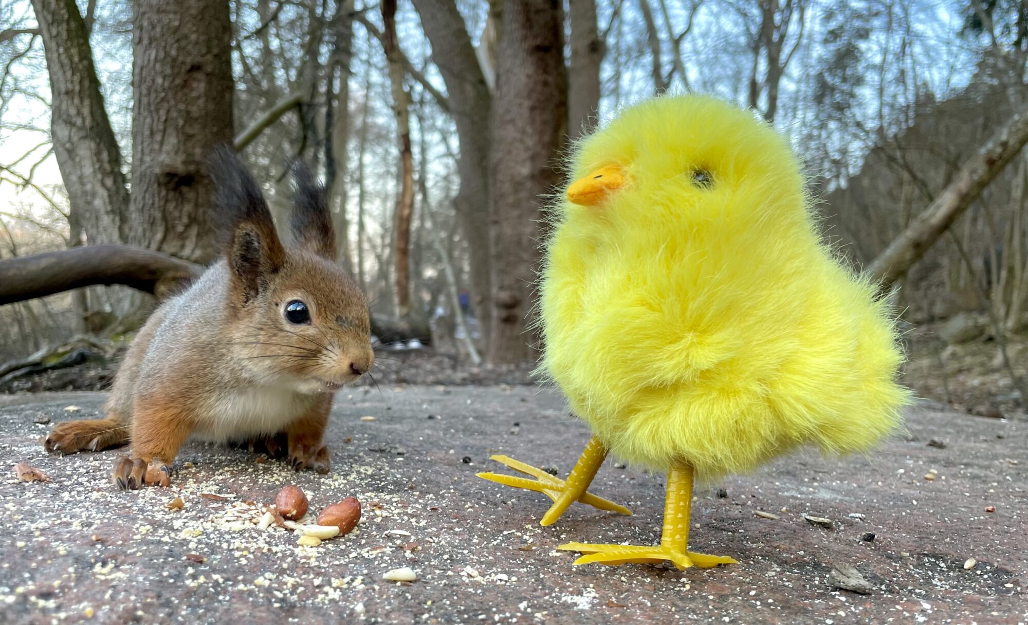 Valokuvaaja: Juhani Peltonen