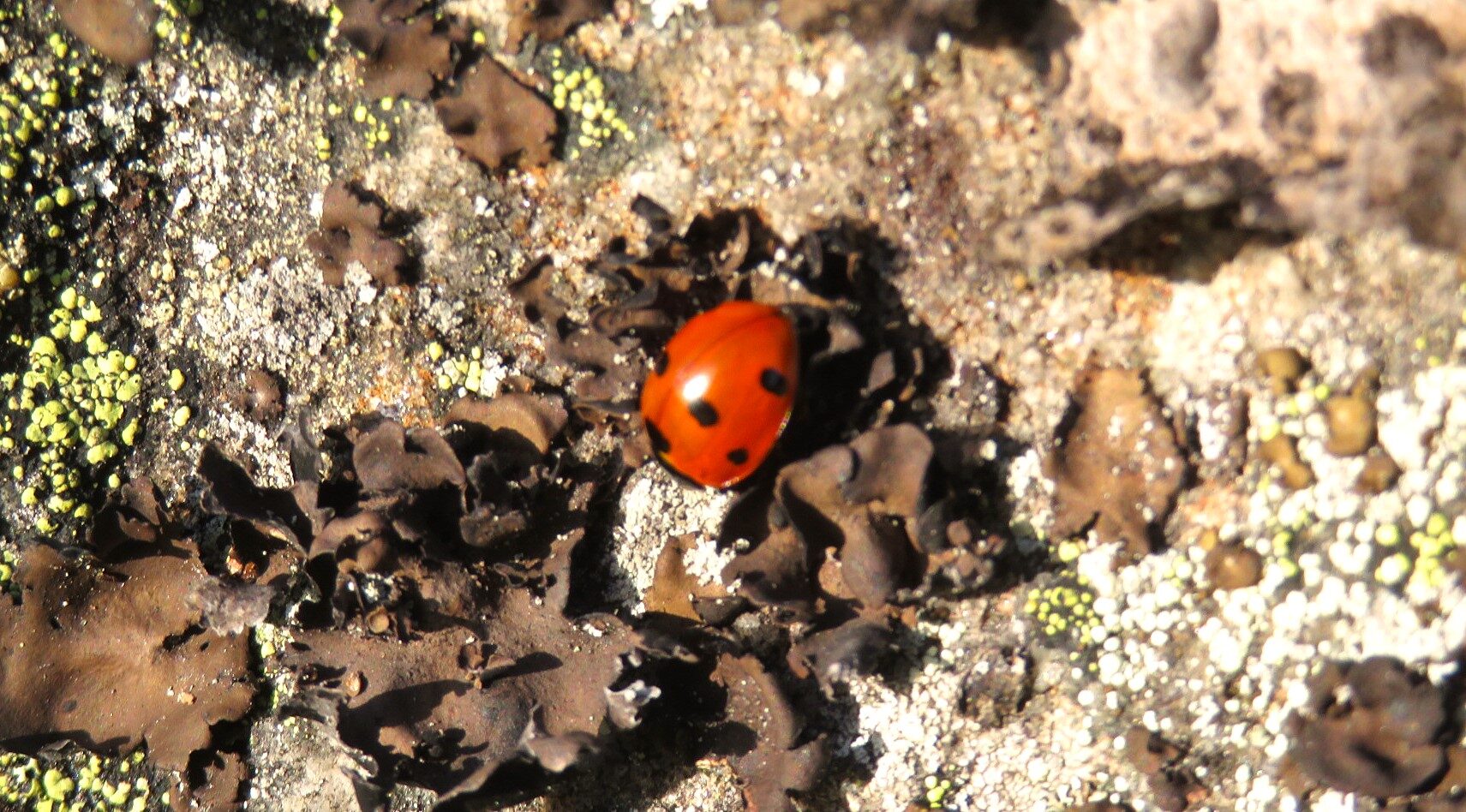 Valokuvaaja: Risto Kangassalo