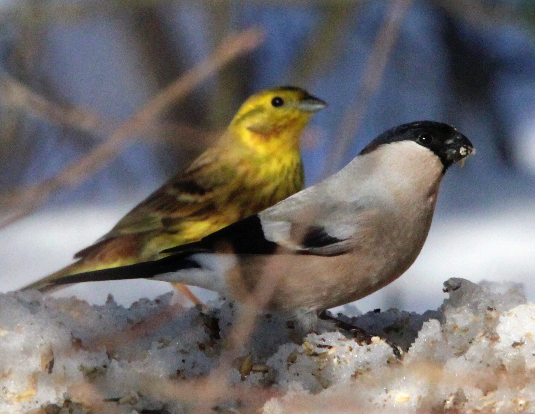 Valokuvaaja: Anu Lapinlampi