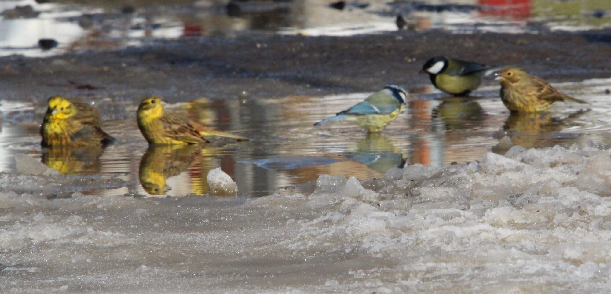 Valokuvaaja: Anu Lapinlampi