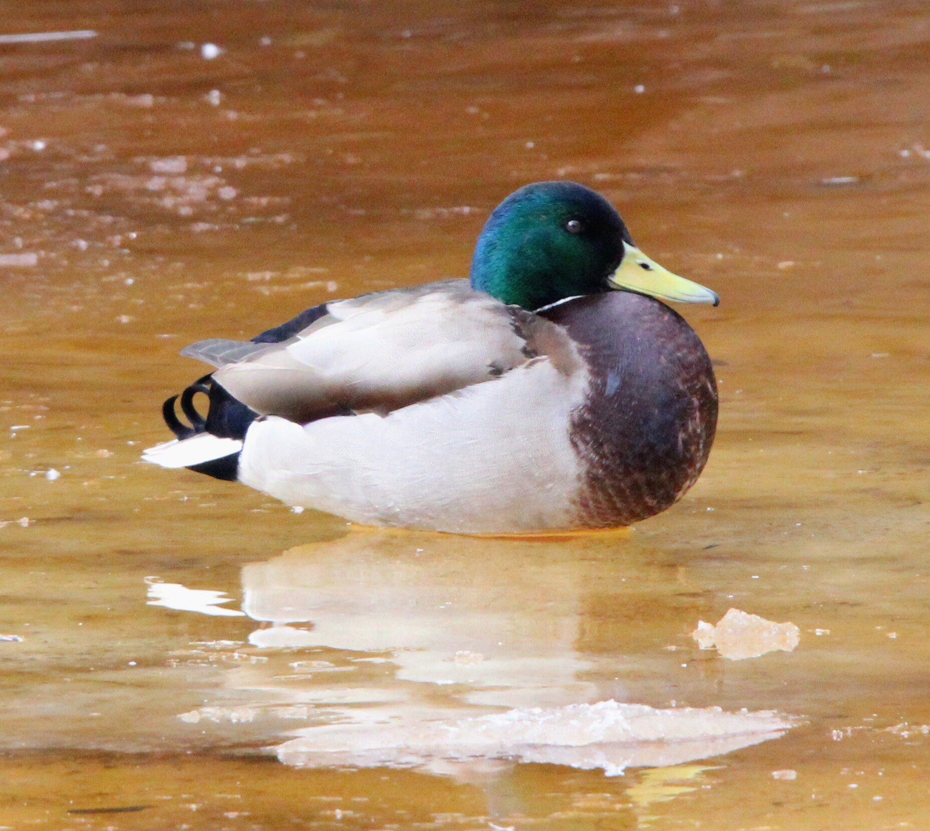 Valokuvaaja: Anu Lapinlampi
