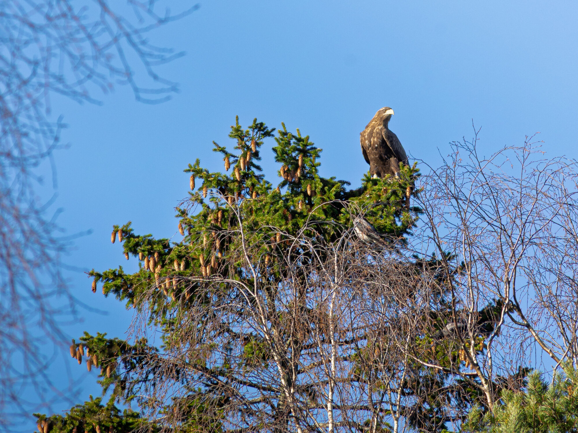 Valokuvaaja: Mats Havia
