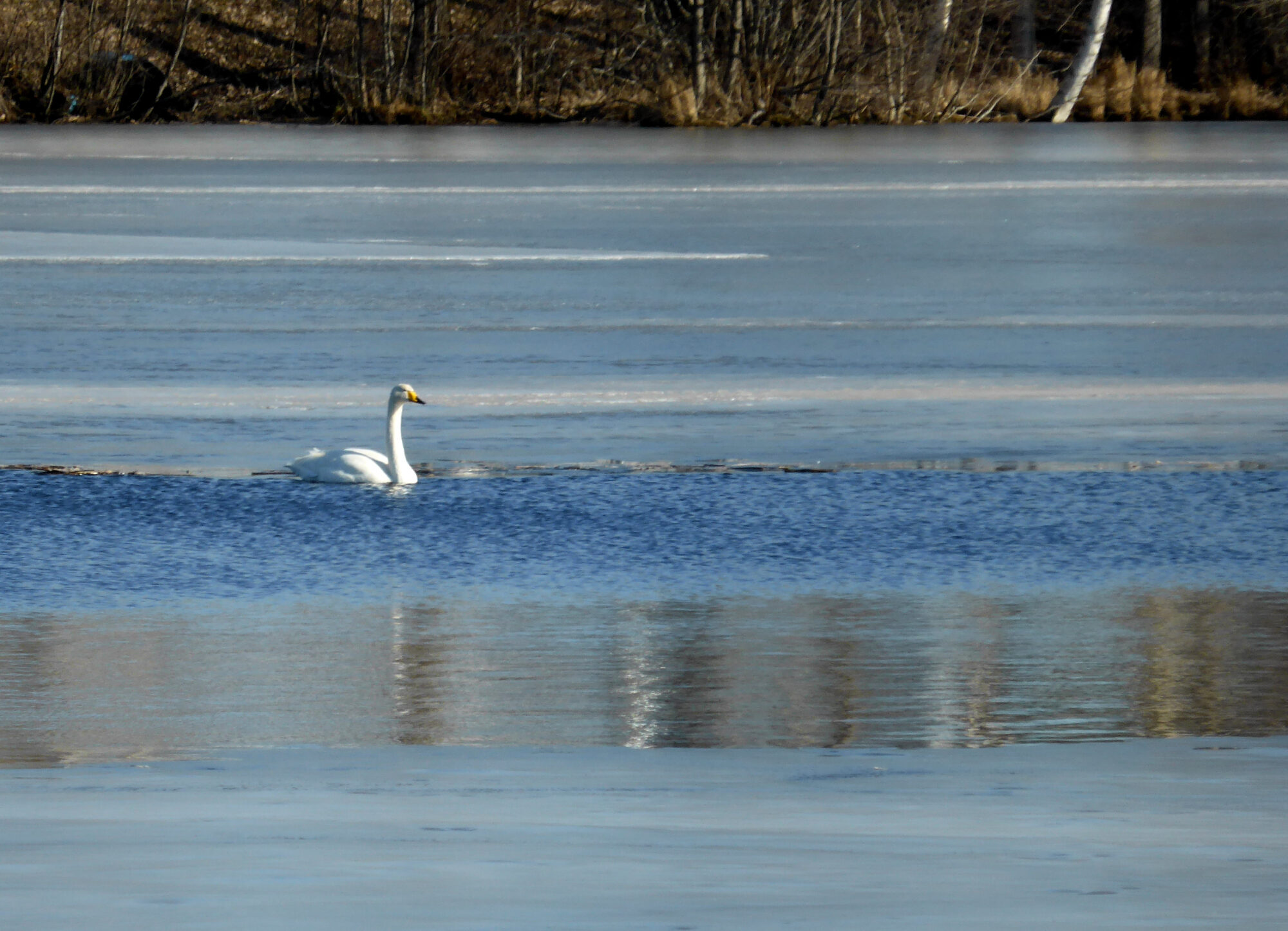 Valokuvaaja: Toni Asikainen