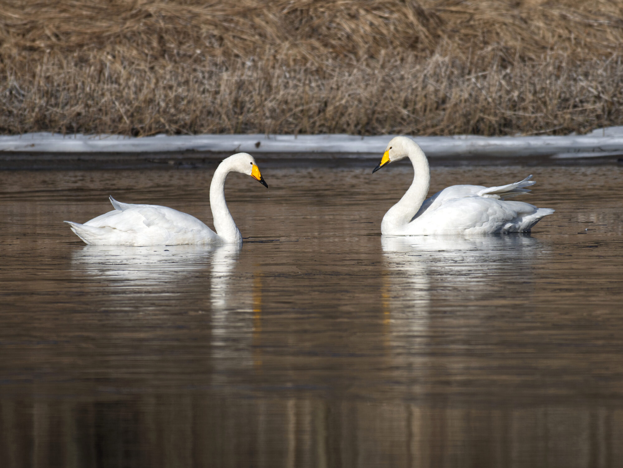 Valokuvaaja: Päivi Kiiskinen-Mustonen