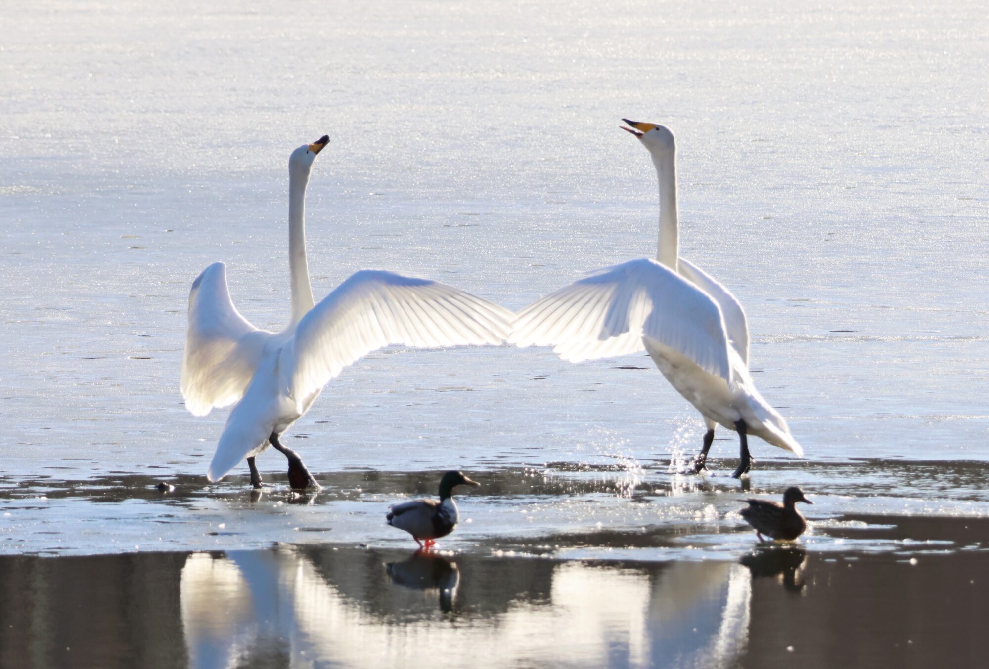 Valokuvaaja: Noora Miettinen