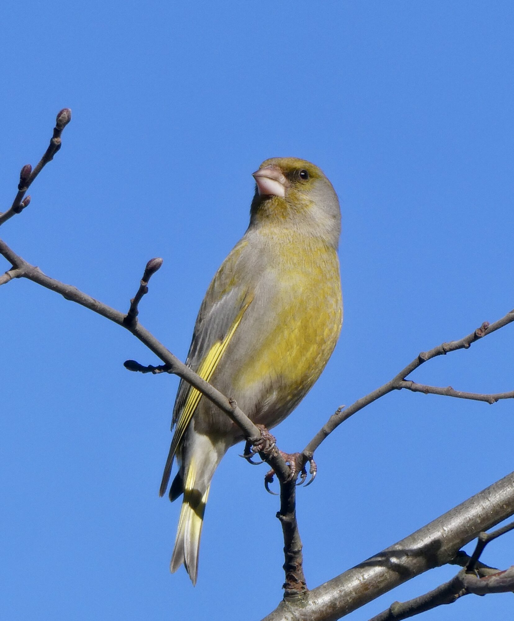 Valokuvaaja: Liisa Niiva-Korpela