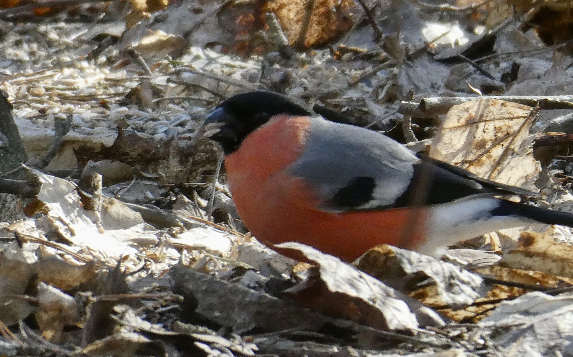 Valokuvaaja: Liisa Niiva-Korpela