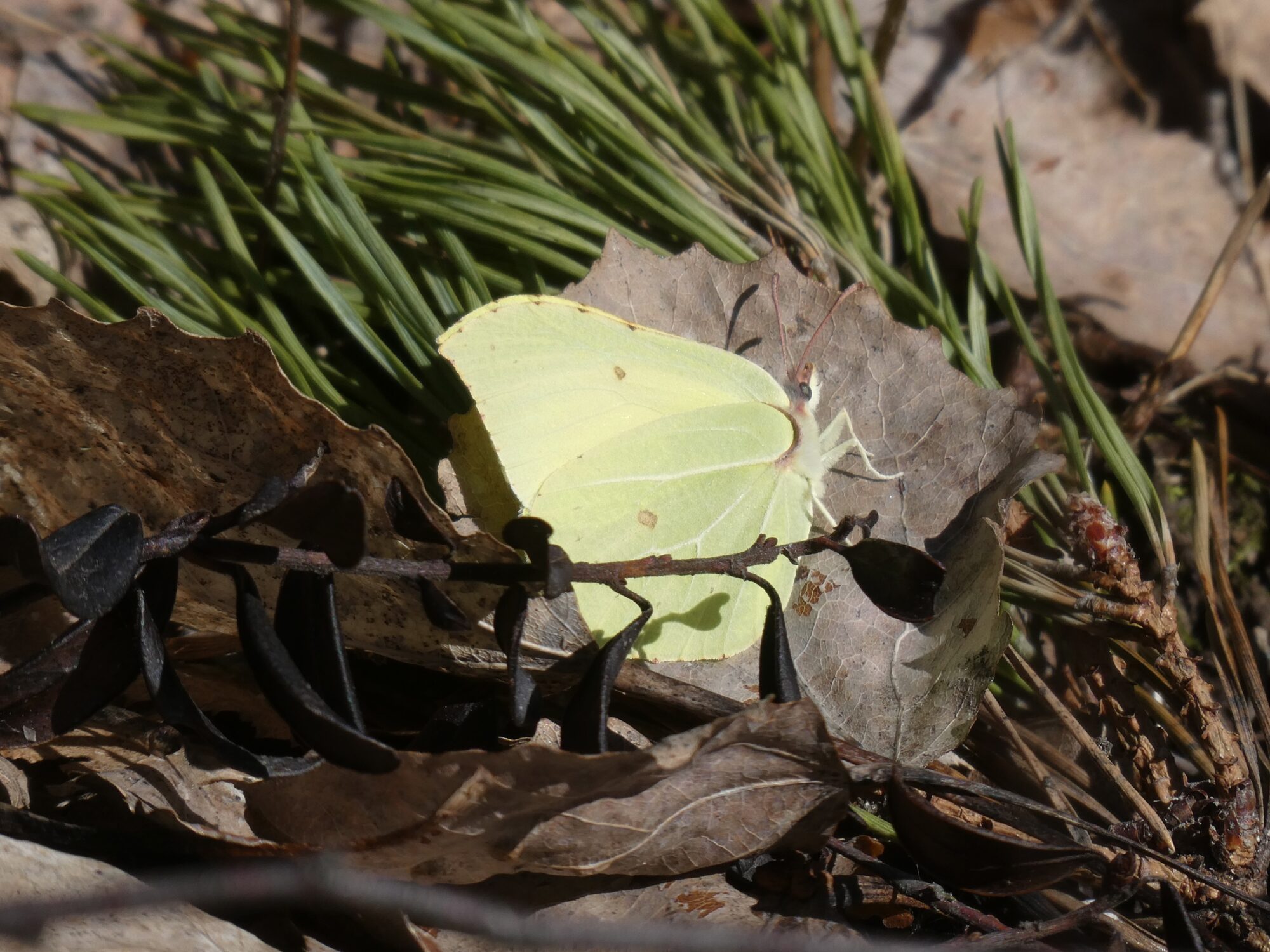 Valokuvaaja: Liisa Niiva-Korpela