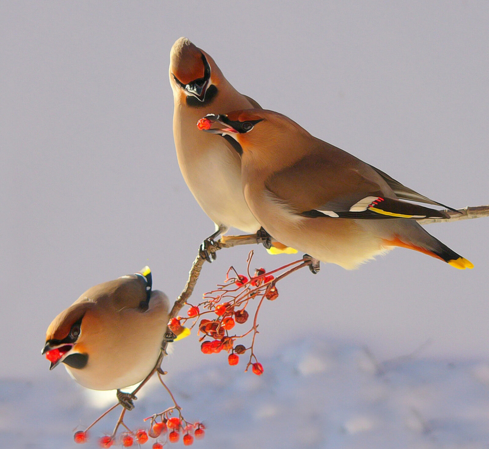 Valokuvaaja: Hannu Rasiranta